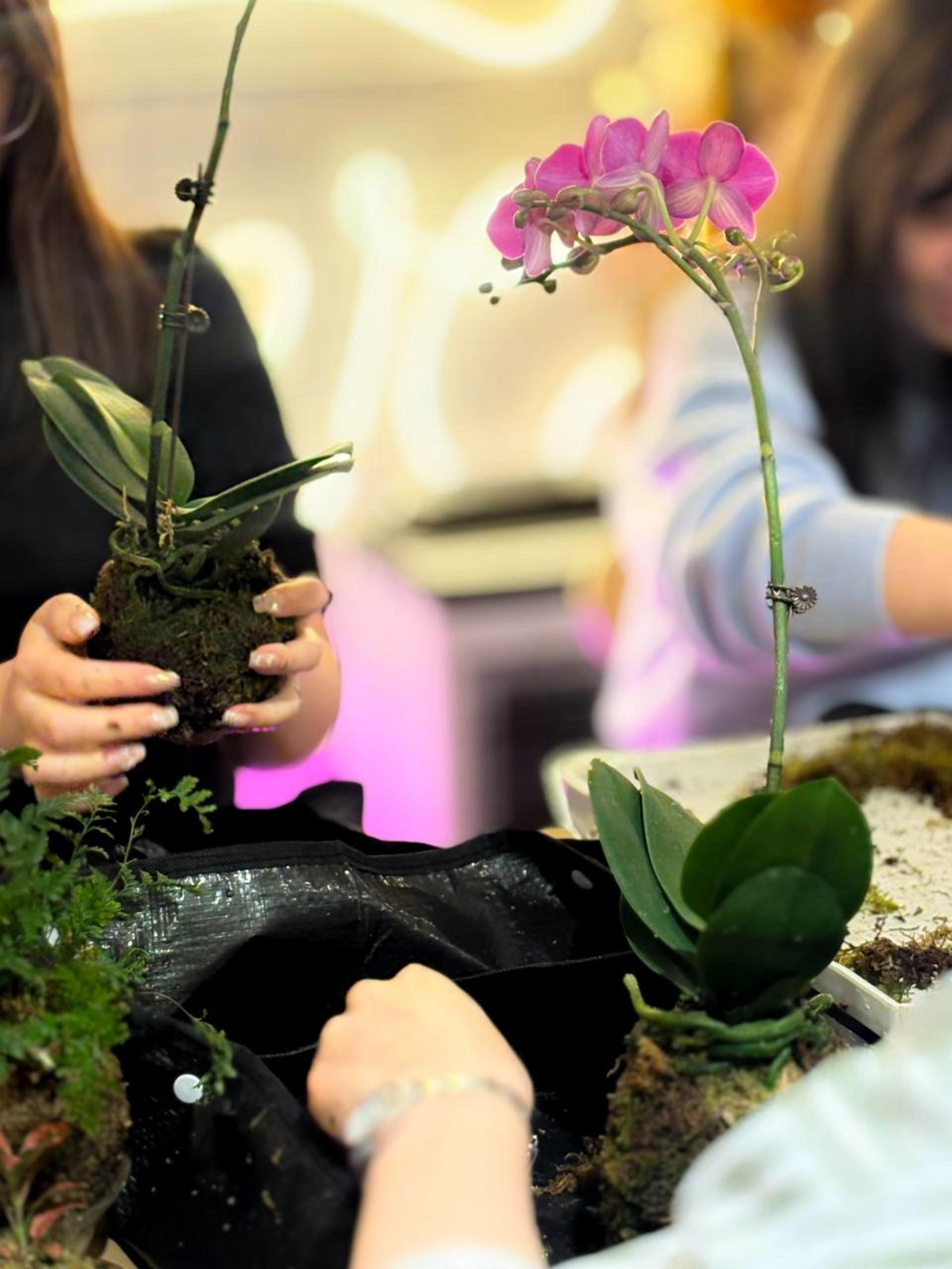 Kokedama Workshop - Thumbnail 19