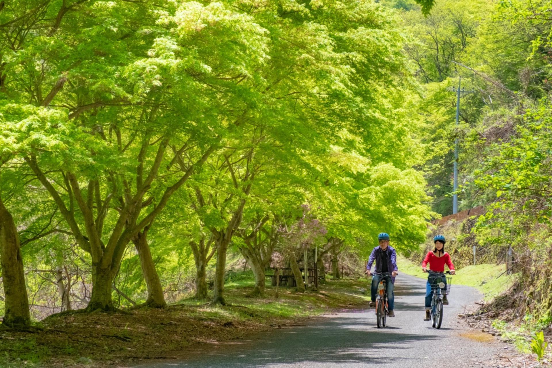 Tokyo Okutama Mountain Half-Day Cycling Adventure with Wasabi Tasting - Image 1