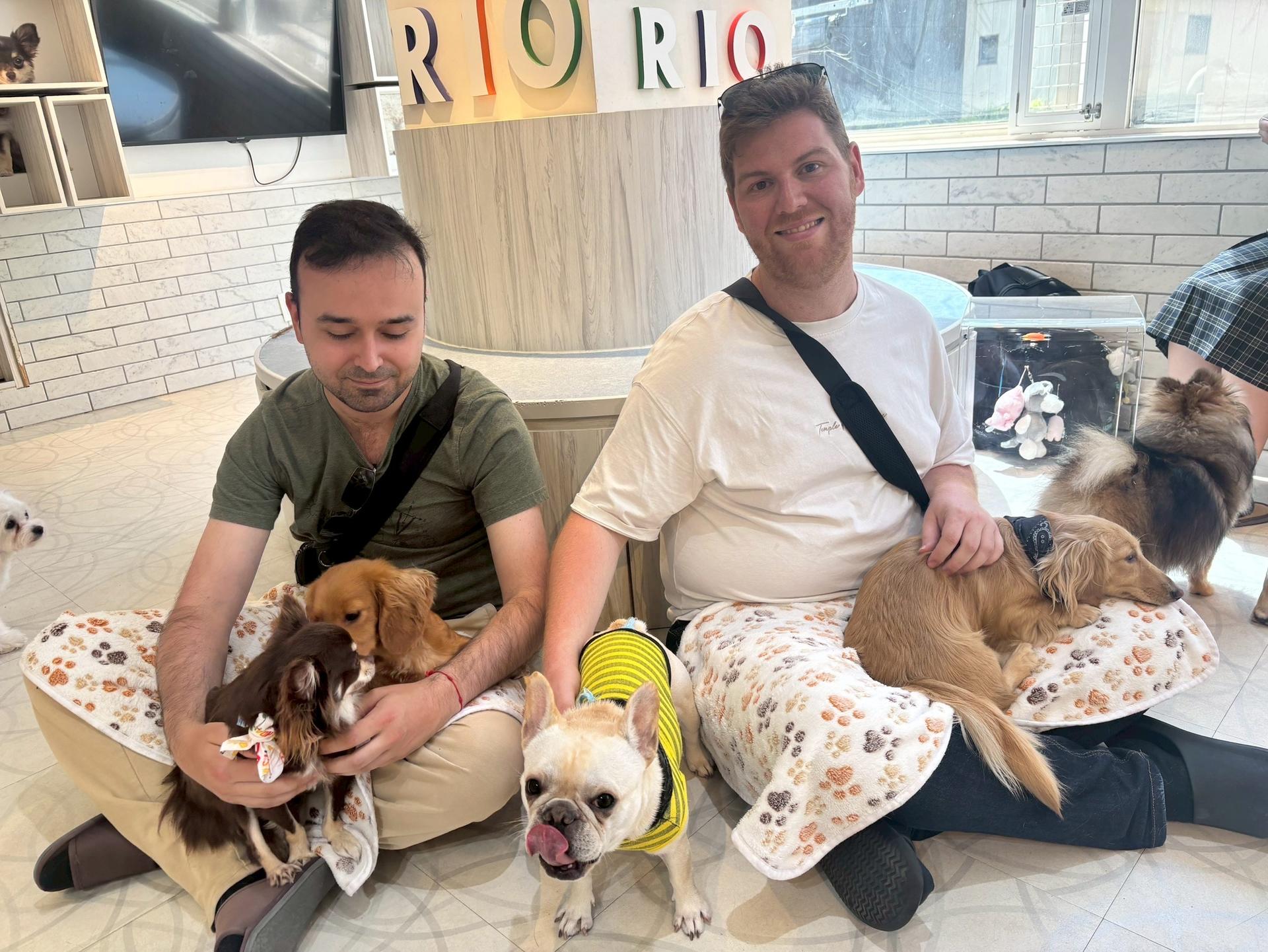 Play with Dogs at Dog Cafe Rio Harajuku[Dog Cafe Rio Harajuku] - Thumbnail 6