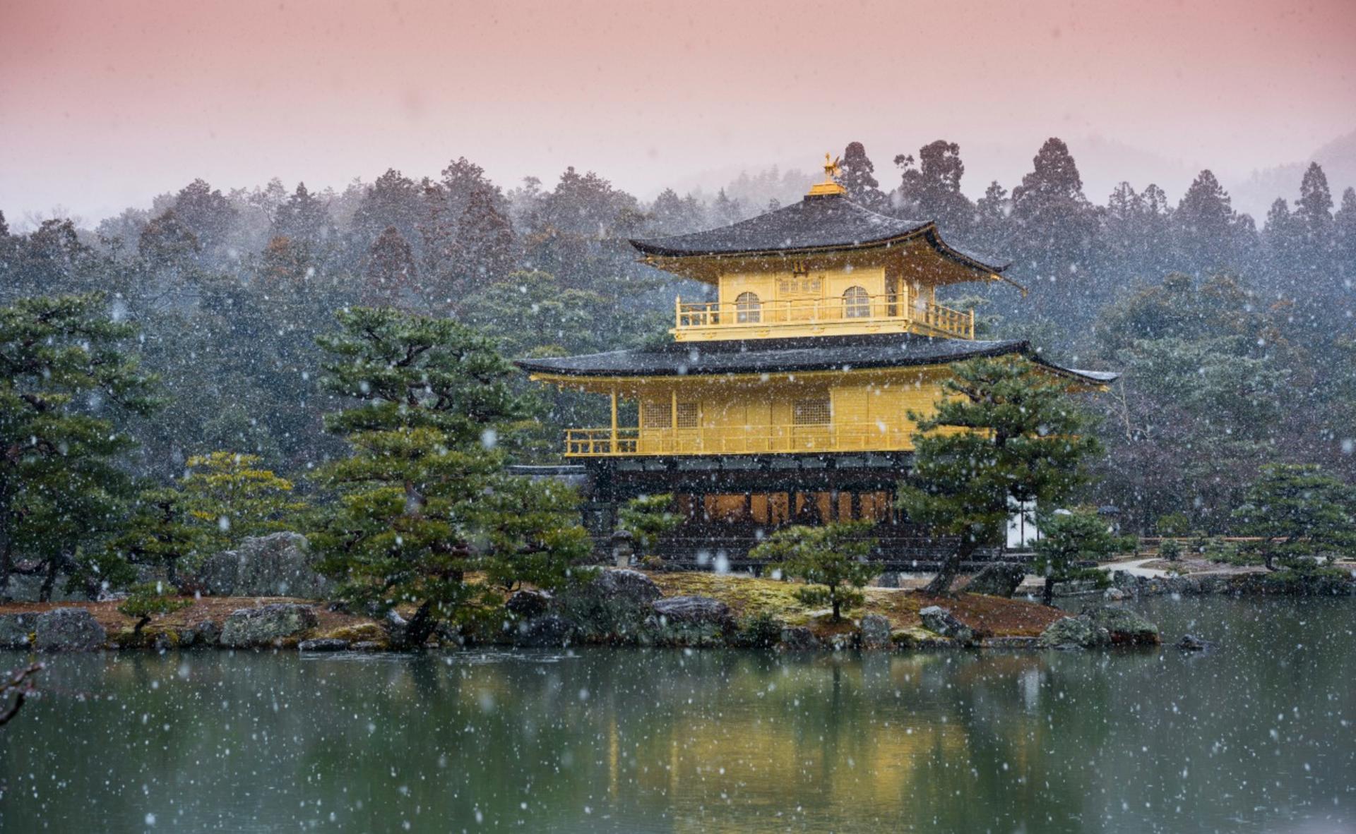Kyoto Arashiyama, Nijo Castle, and Fushimi Inari One-Day Tour - Thumbnail 21
