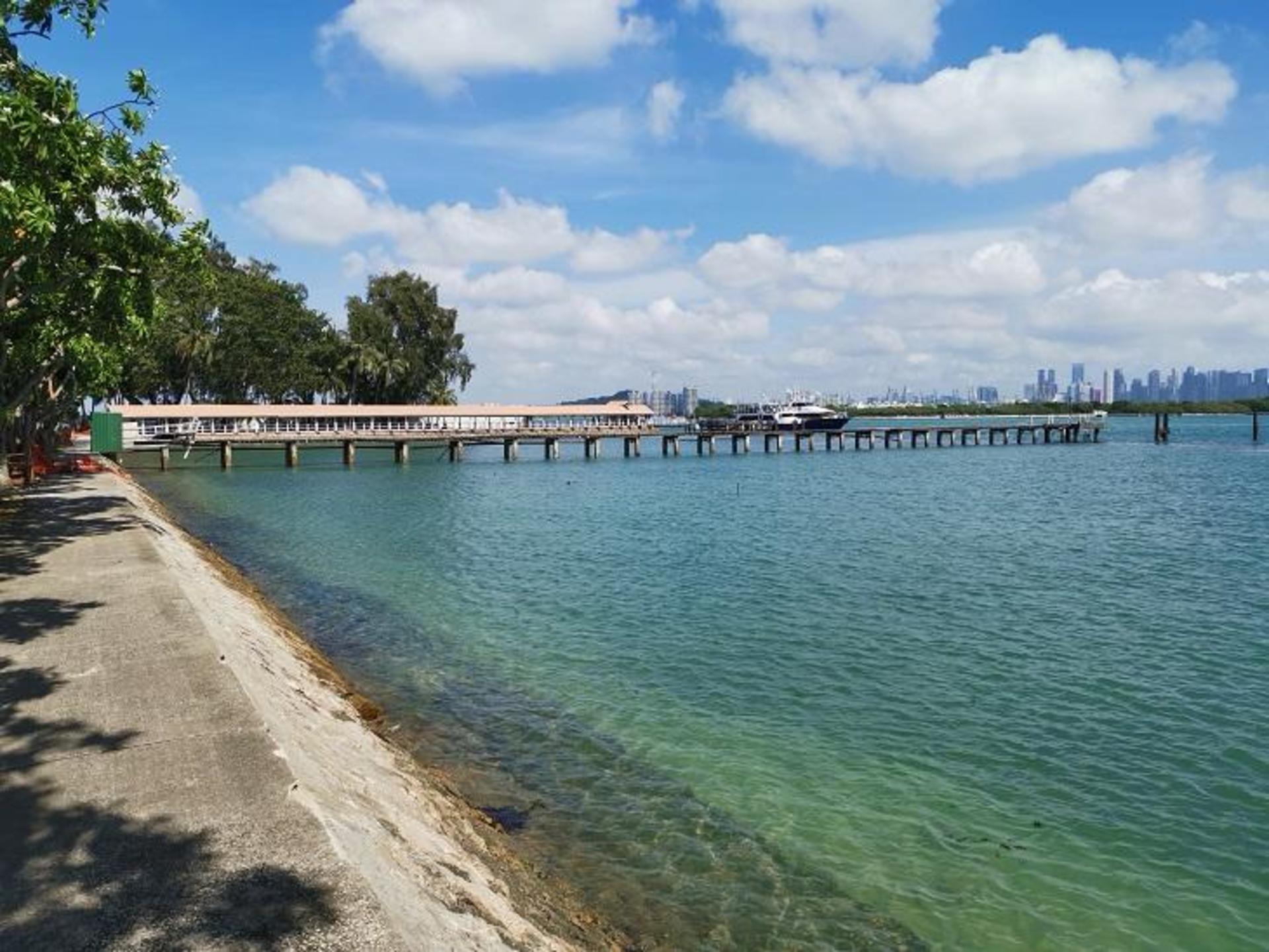 Singapore to St. John, Lazarus and Kusu Islands Ferry - Thumbnail 12