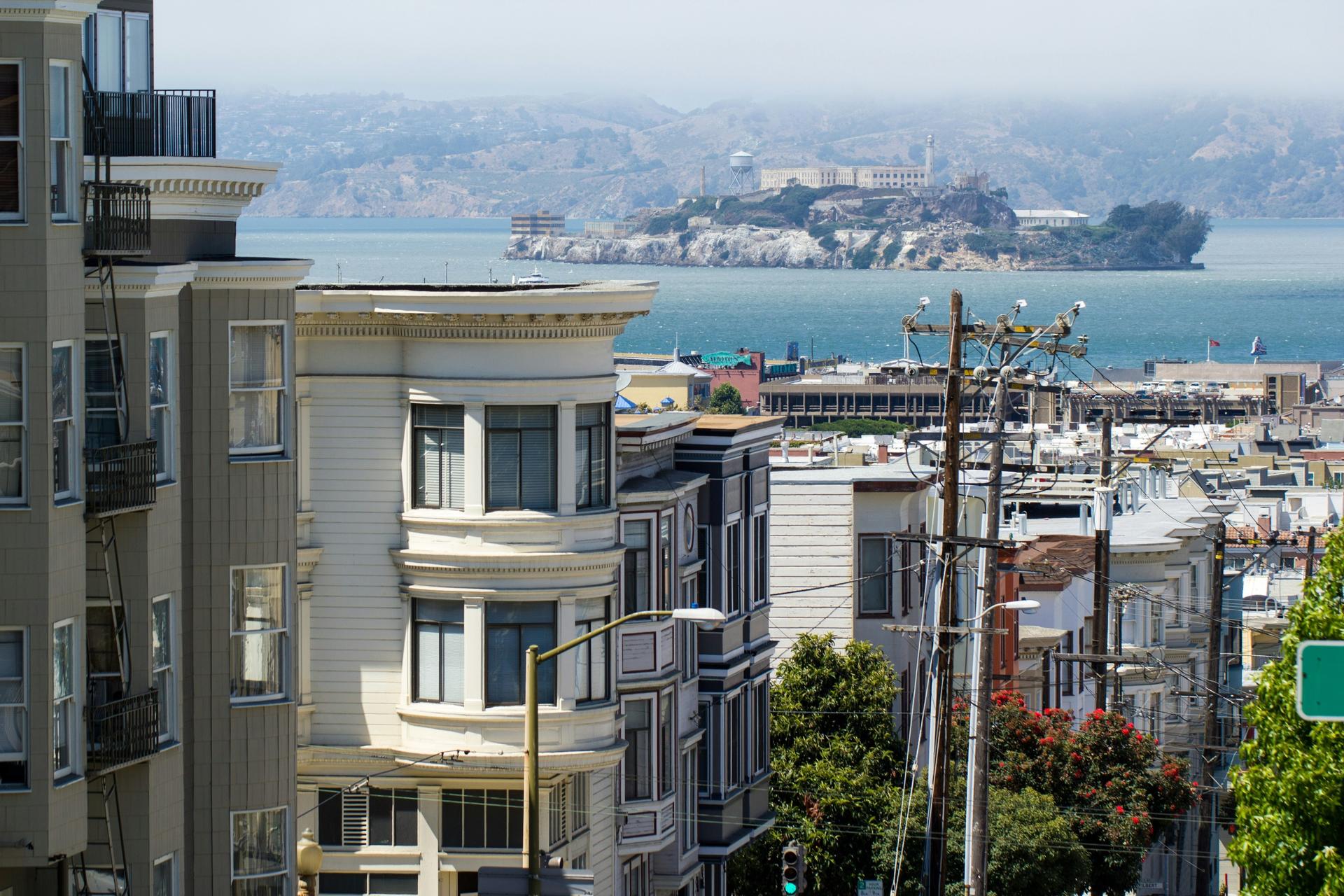 Alcatraz Day Tour and Aquarium + Muir Woods & Sausalito - Thumbnail 5