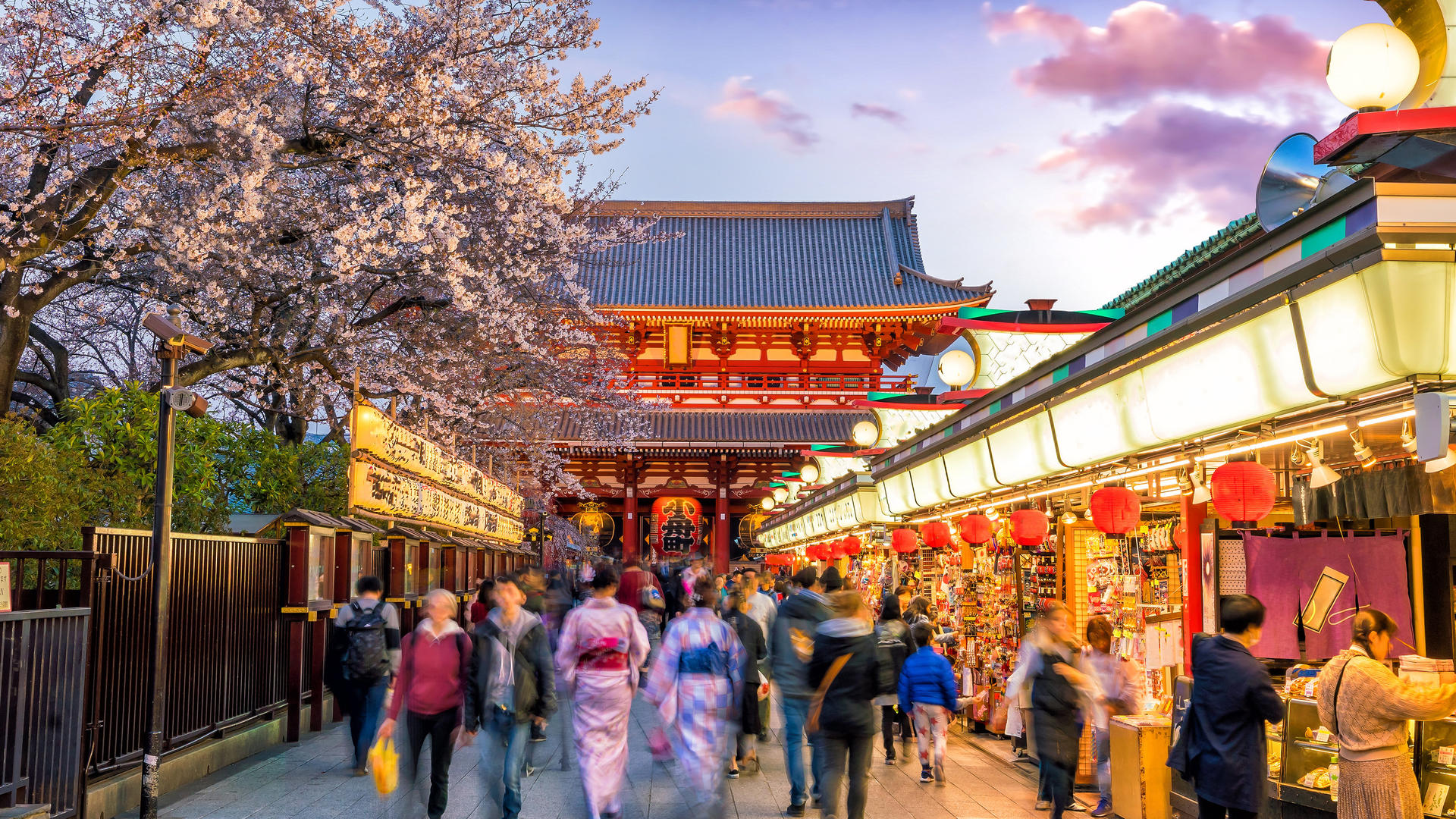 Asakusa, Kappabashi, and Ueno Walking Tour: Experience Tokyo's History and Culture in 3 Hours - Image 1
