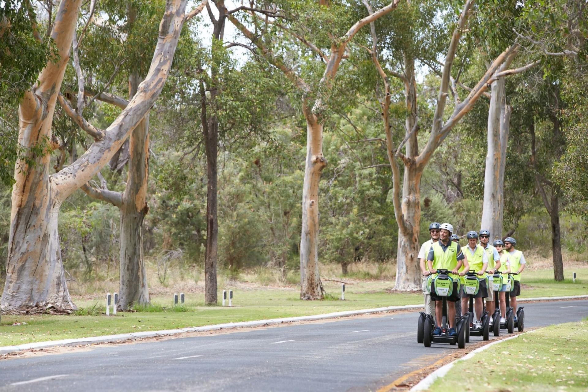 Kings Park Botanic Garden Segway Tour in Perth - Thumbnail 2