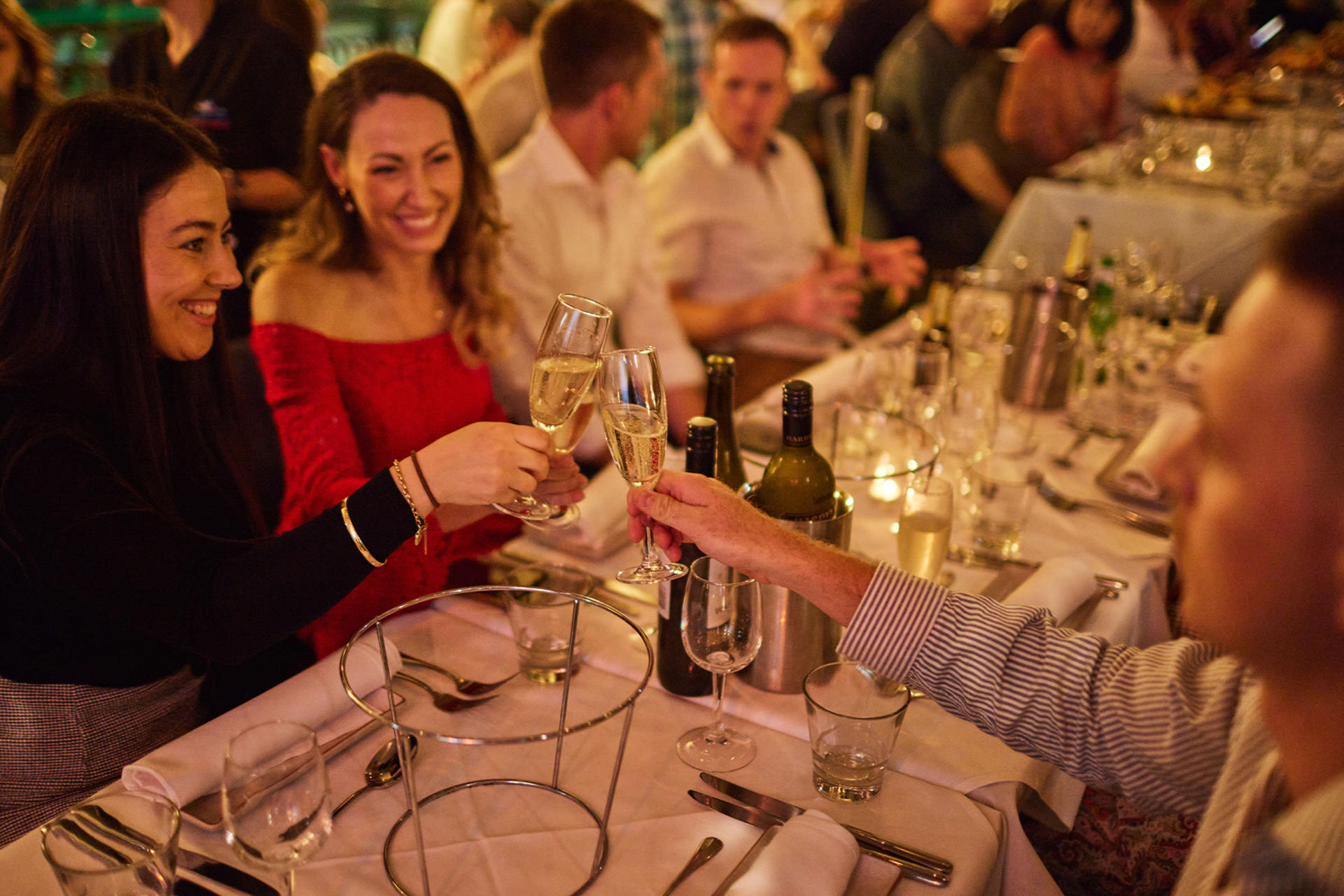 Sydney Classic Cabaret Dinner - Thumbnail 6