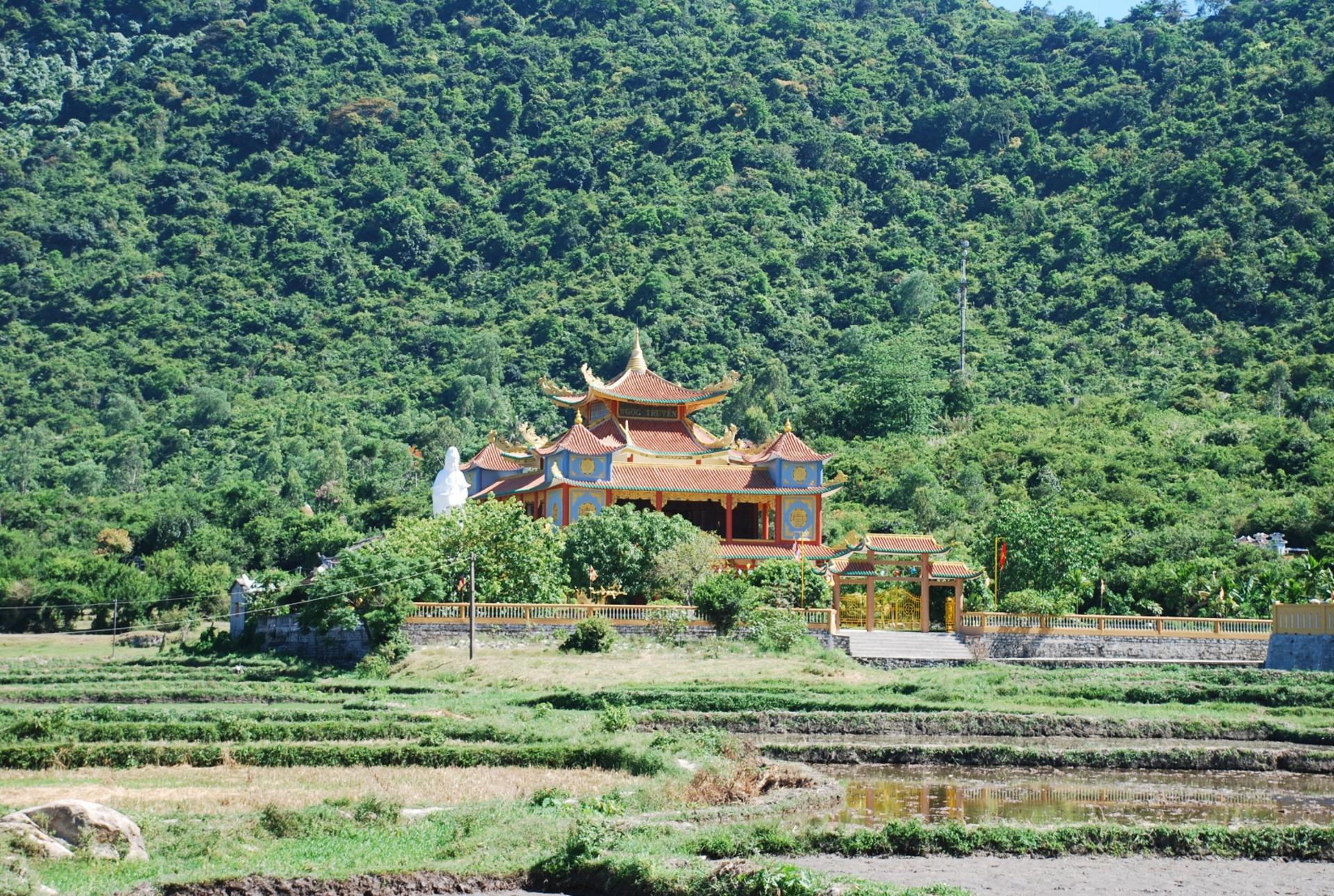 Cham Islands Day Tour from Da Nang - Thumbnail 3
