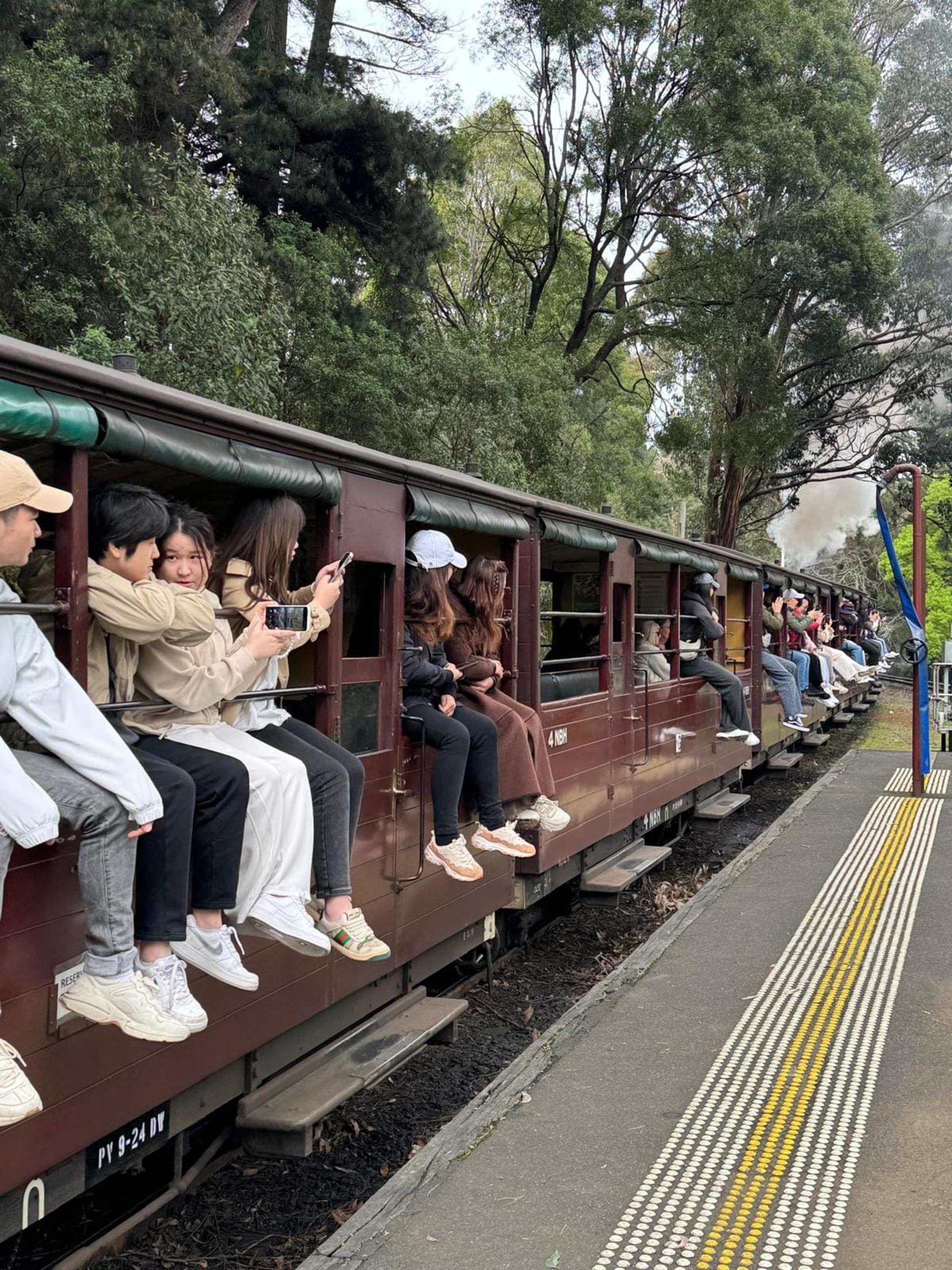 Melbourne Puffing Billy & Healesville Sanctuary Private Tour - Image 1