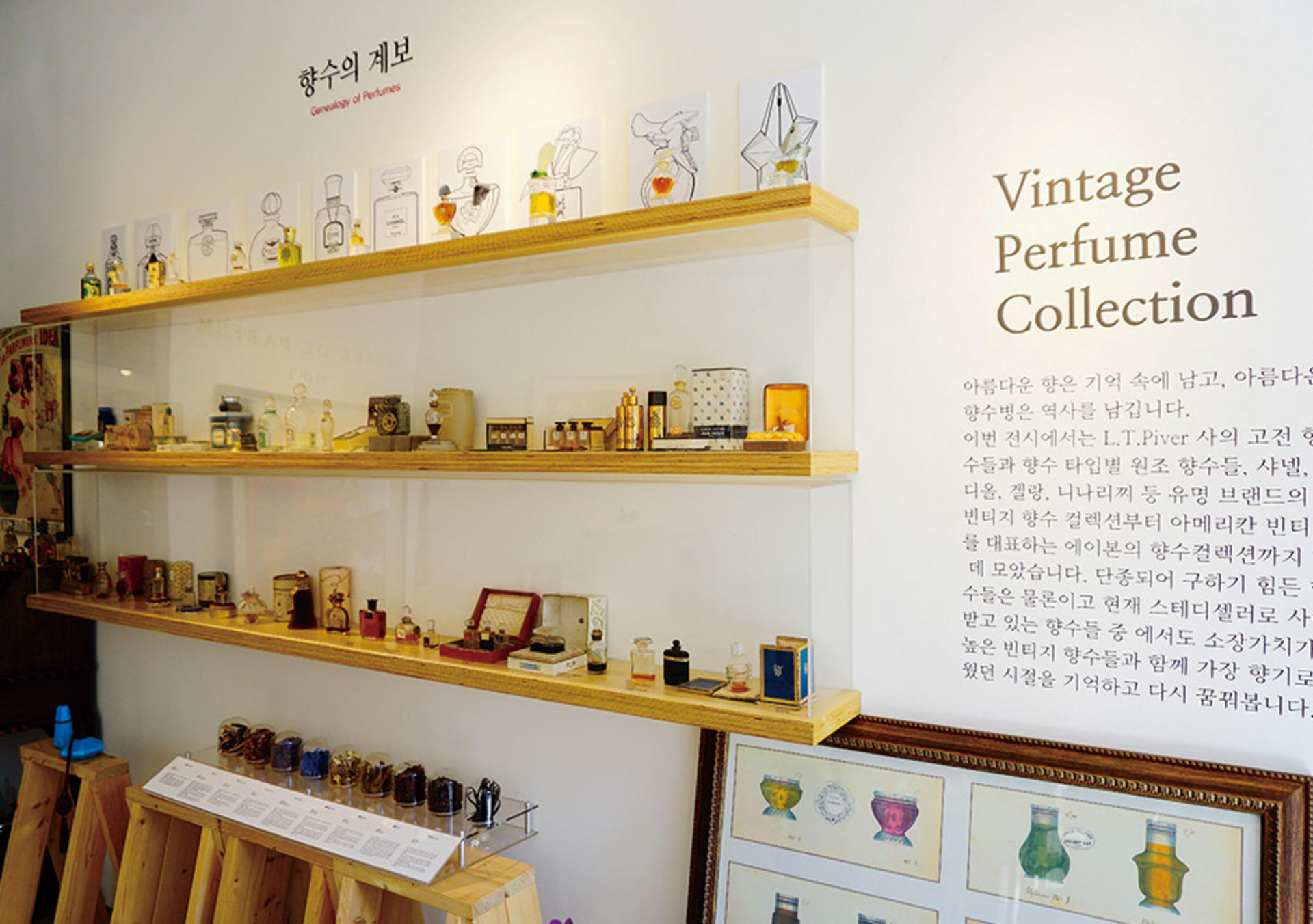 Seoul Self Perfume Making Activity in Seoul by GN Perfume Studio - Thumbnail 5
