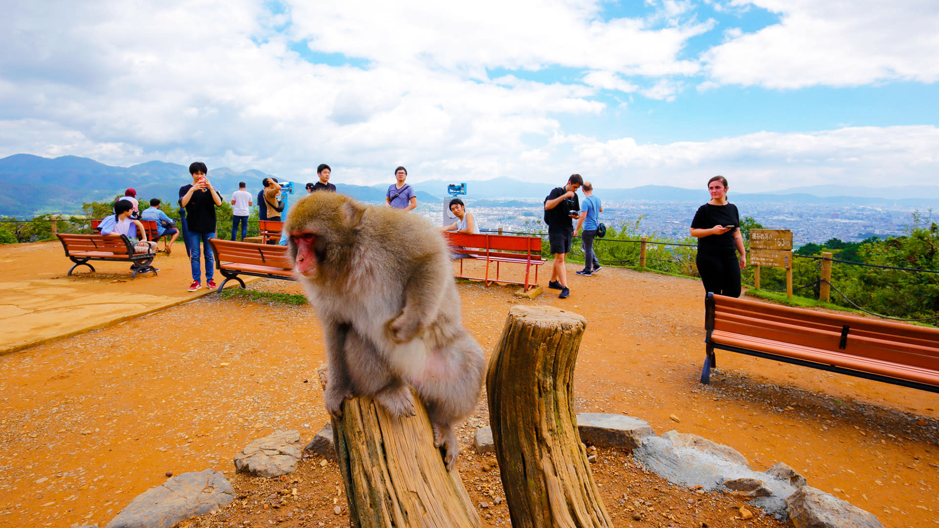 Kyoto: Arashiyama UNESCO Walking Tour with Admission - Thumbnail 2
