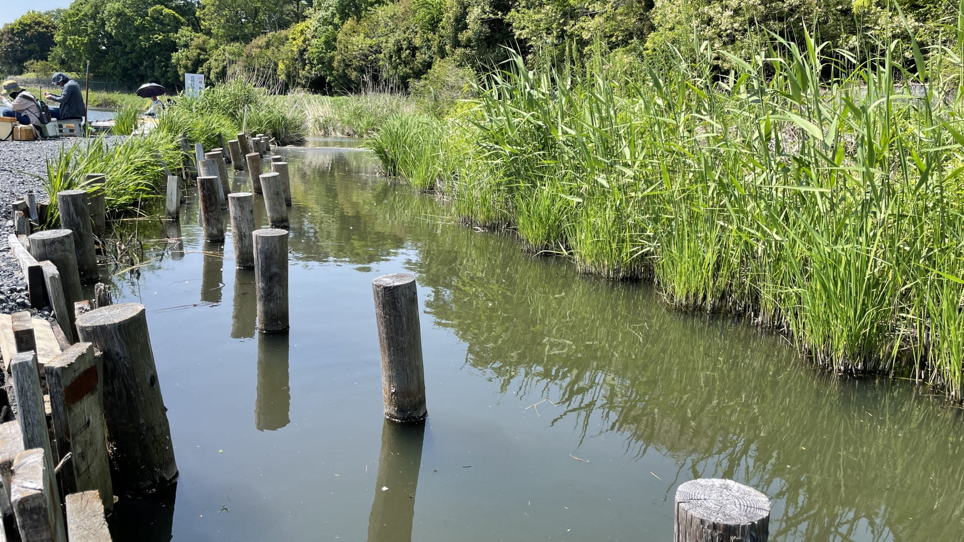 Lampas Outdoor Life: Traditional Japanese Fishing Experience - Thumbnail 12