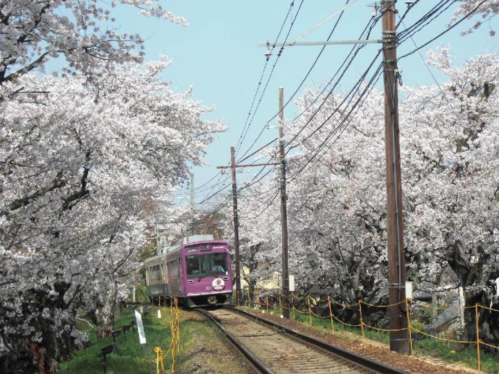 Arashiyama Gourmet Coupon + Randen 1 Day Free Ticket - Thumbnail 5