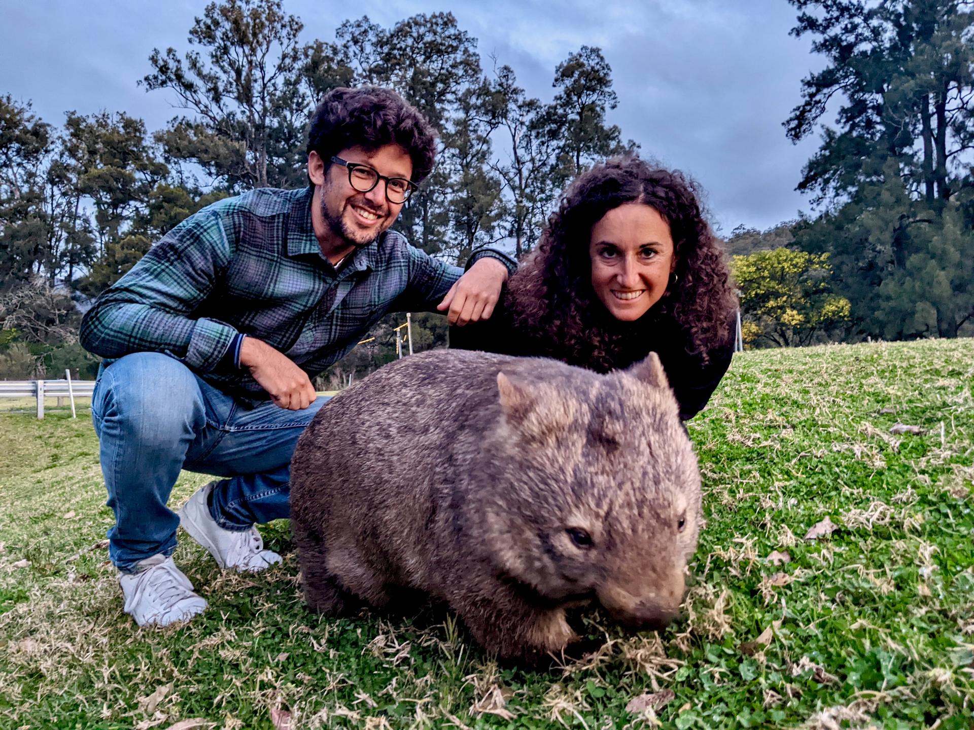 Wild Wombats, Kangaroos, and Waterfalls All Inclusive Tour - Image 1