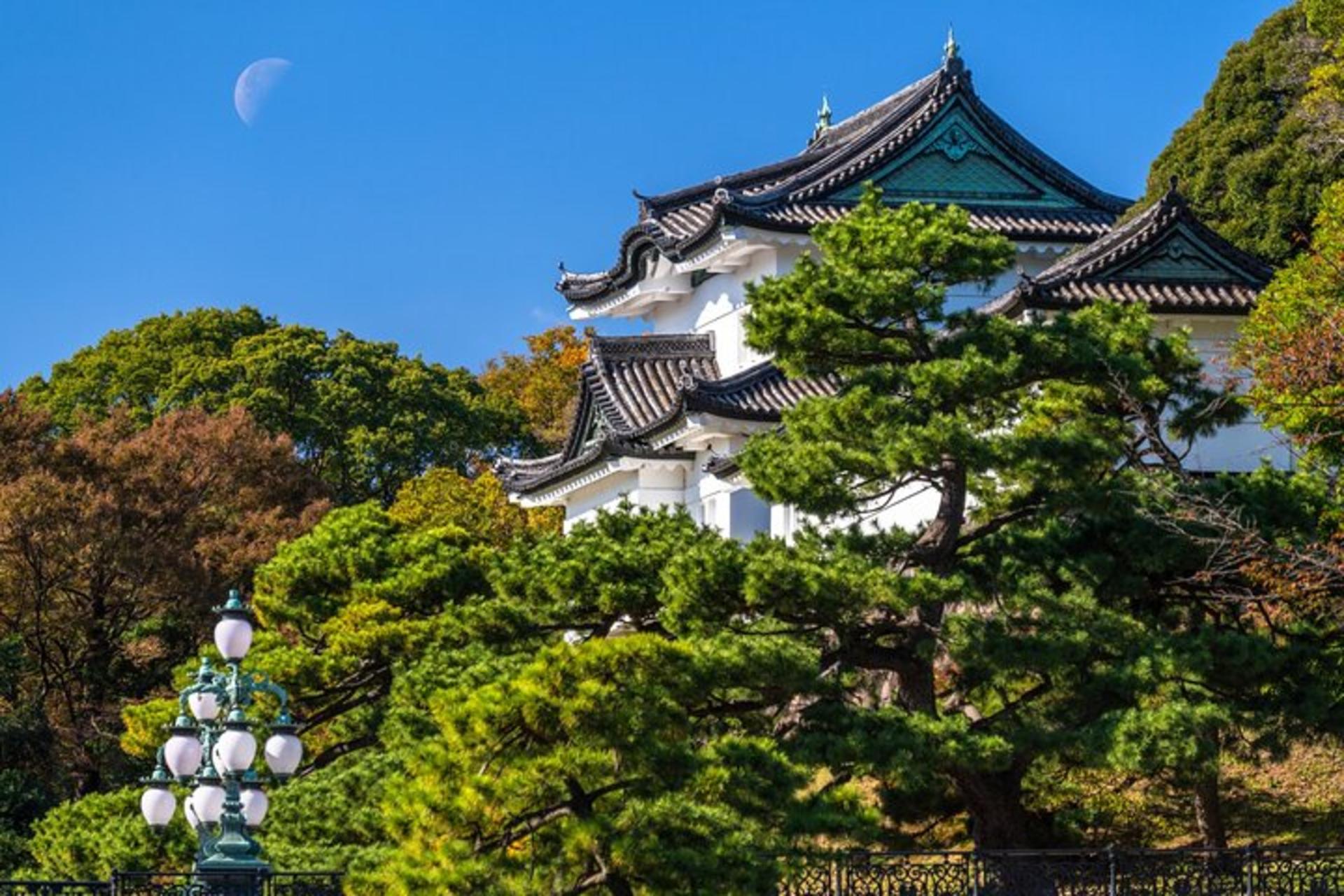  Tokyo Private Walking Tour of the Imperial Palace East Gardens - Thumbnail 4