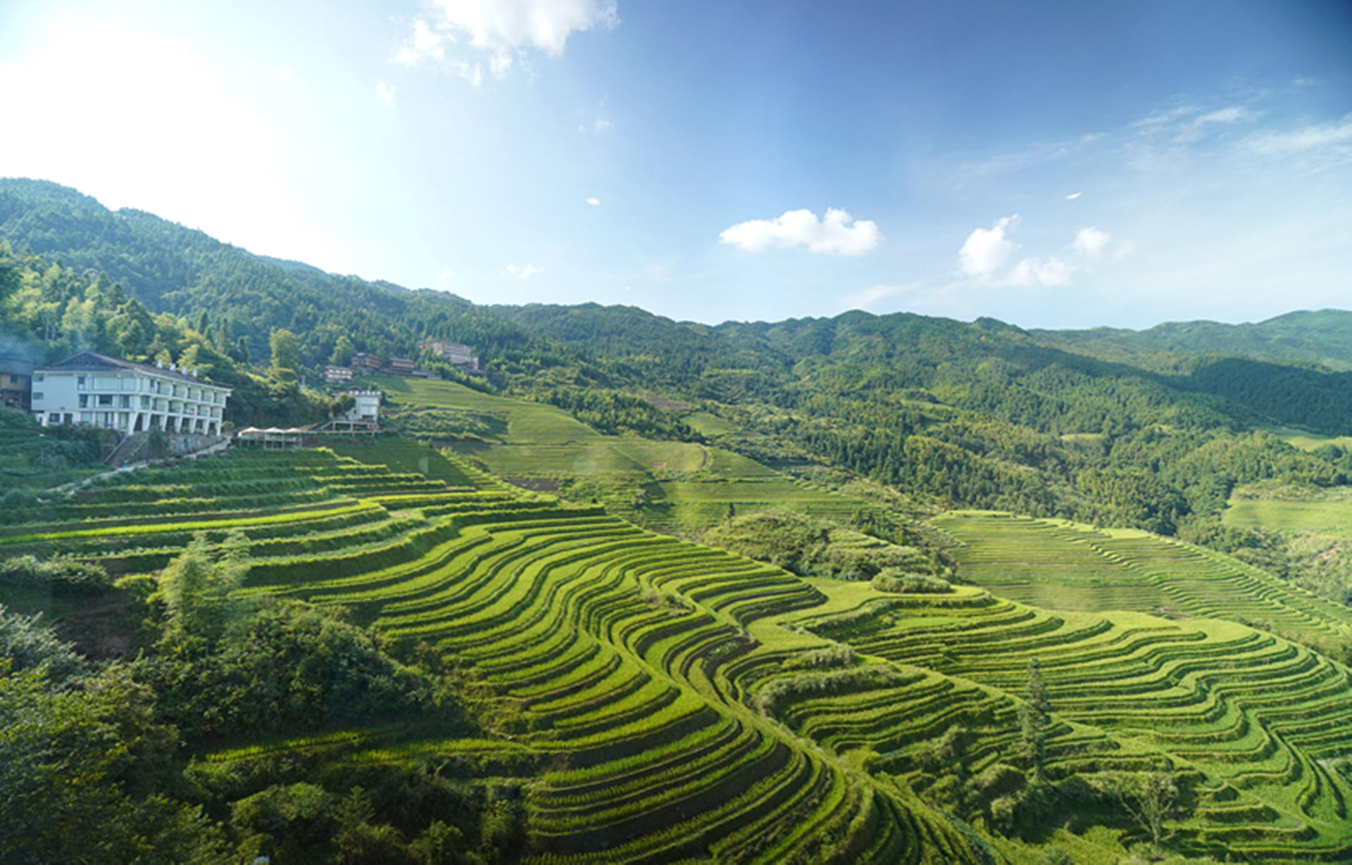 Guilin Longji Rice Terraces Day Tour (Chinese/English Guide) - Thumbnail 3