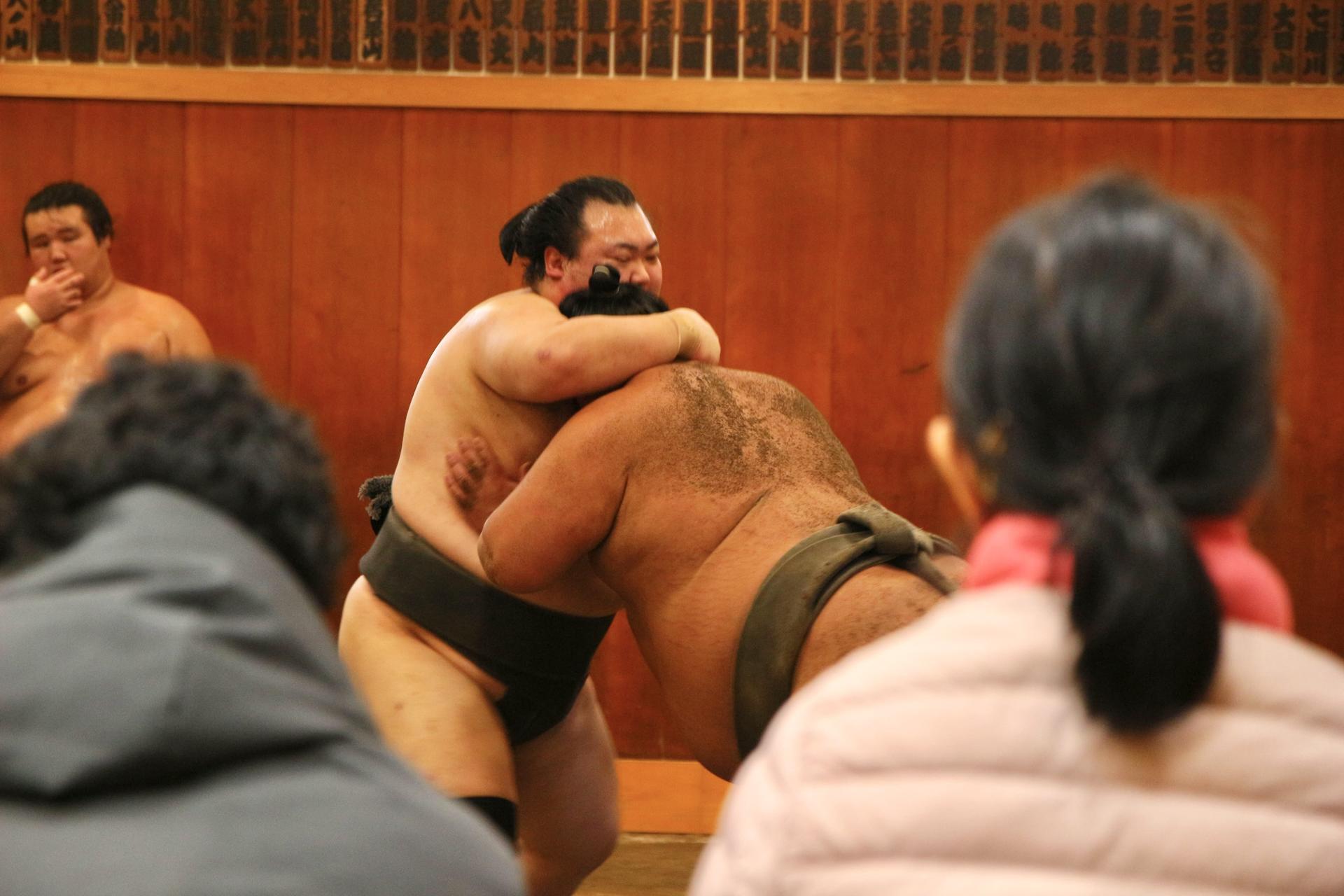 Tokyo Sumo Morning Practice: Viewing & Exclusive Interaction - Thumbnail 6