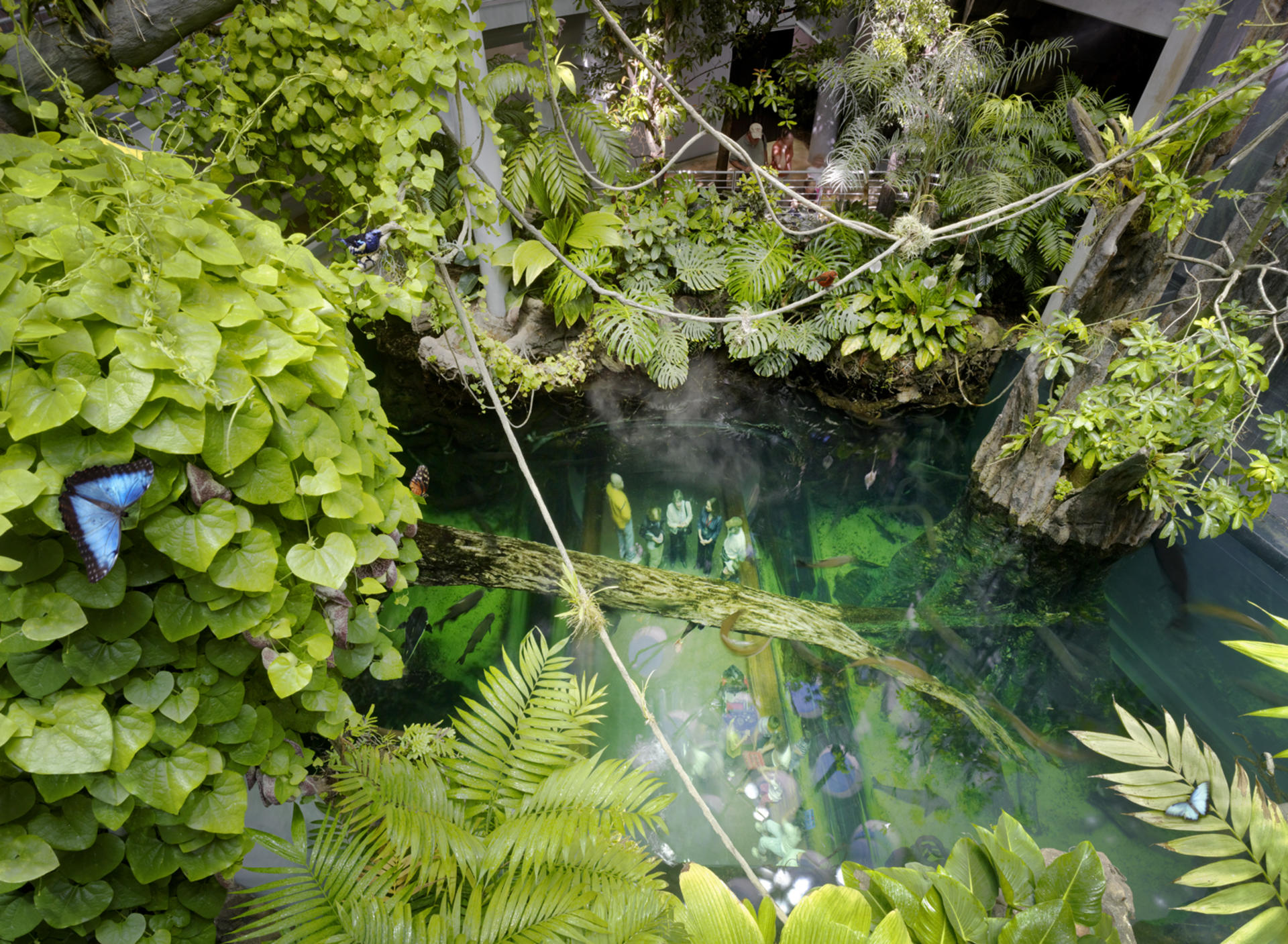 California Academy of Sciences Ticket in San Francisco - Thumbnail 3