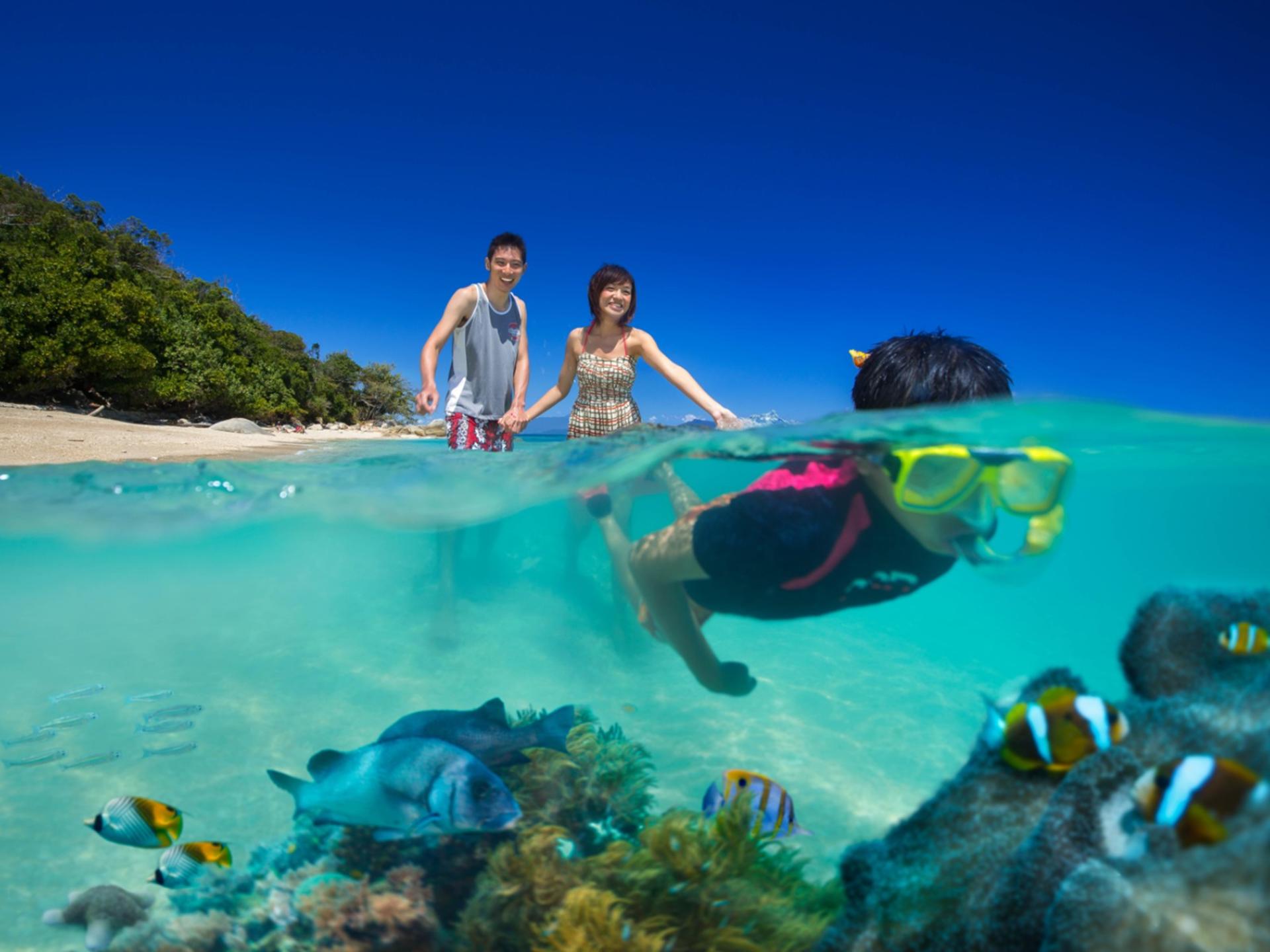 Fitzroy Island Day Trip from Cairns - Thumbnail 4