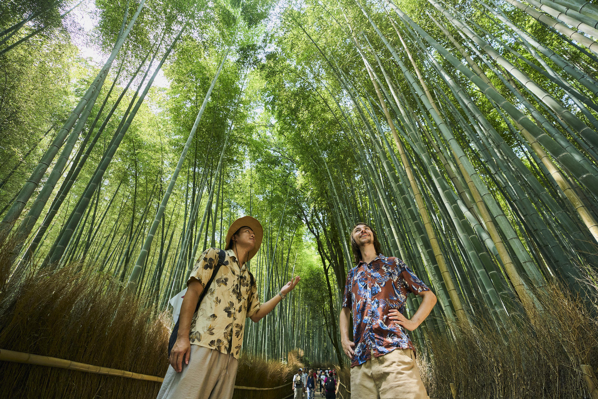 Kyoto: Arashiyama UNESCO Walking Tour with Admission - Image 1
