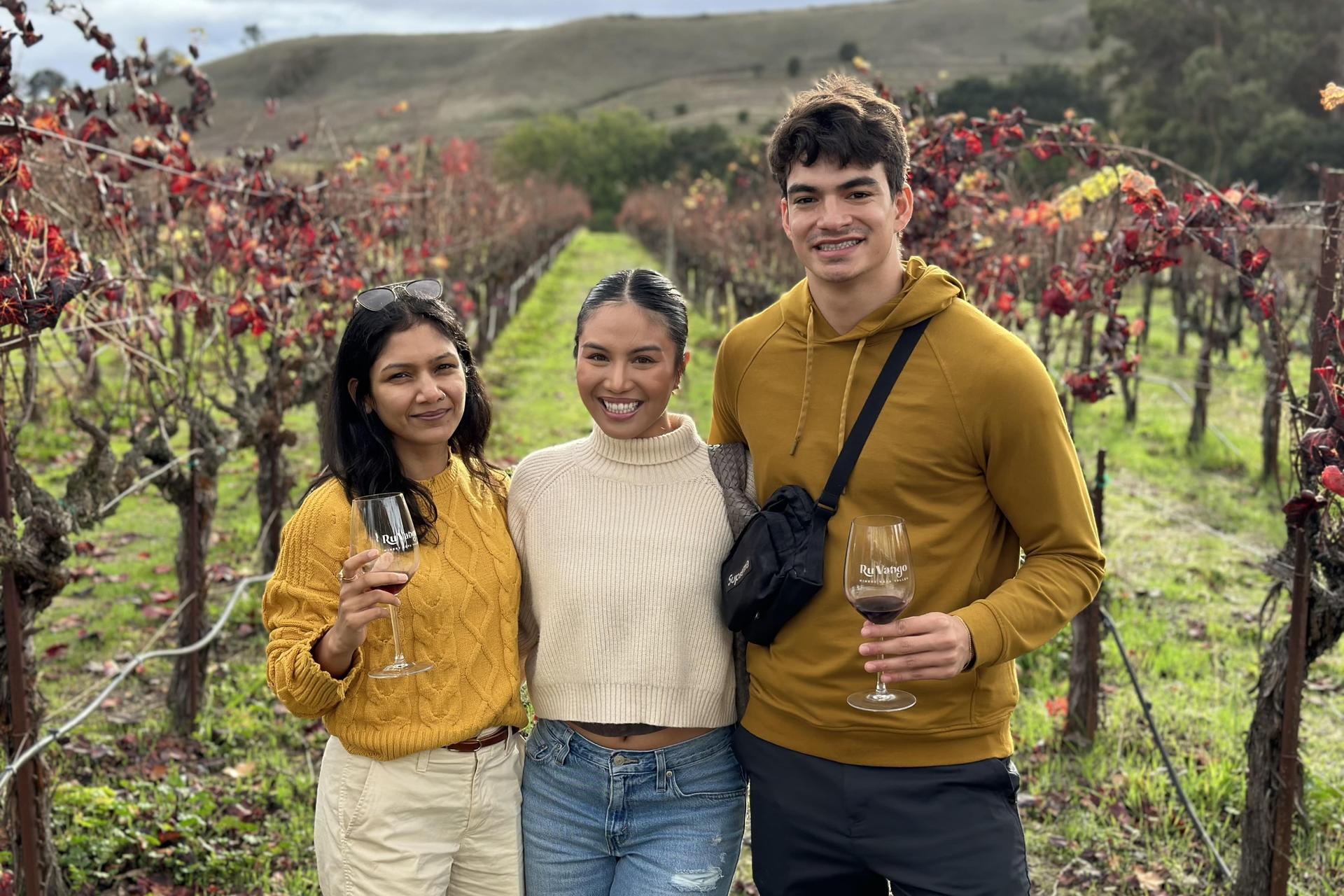 Redwoods and California Wine Country Tour from San Francisco - Thumbnail 5