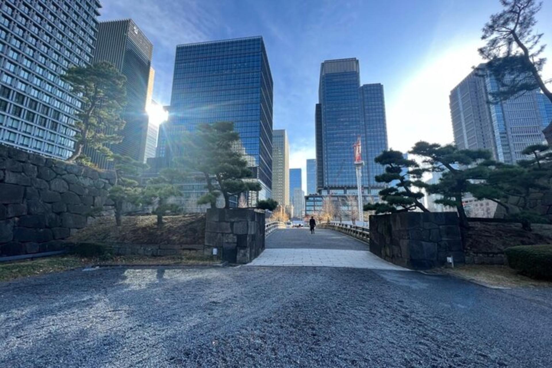 Tokyo: Imperial Palace & Tokyo Station Walking Tour - Thumbnail 9