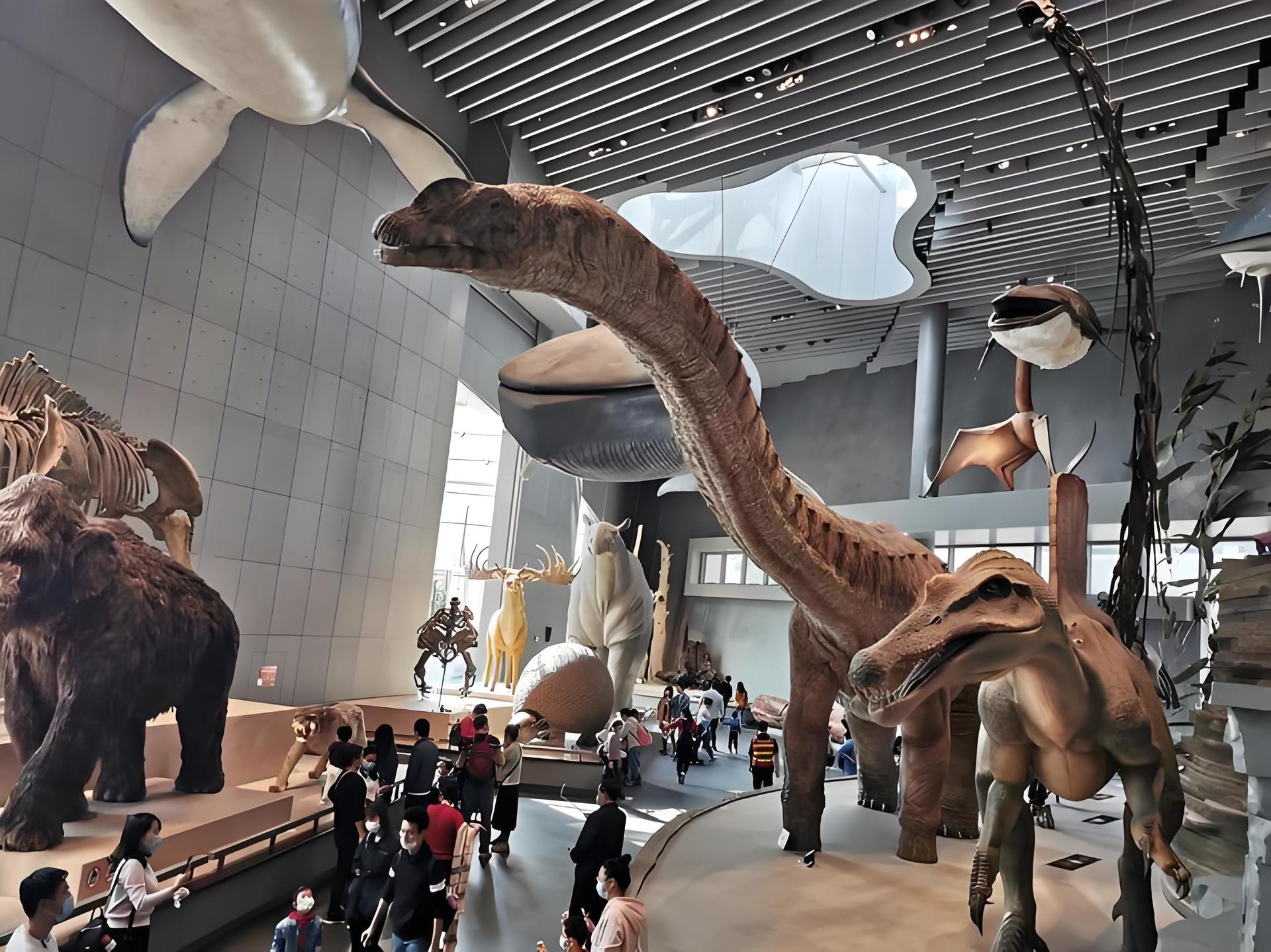 Half-Day Tour of Shanghai Natural History Museum - Thumbnail 8