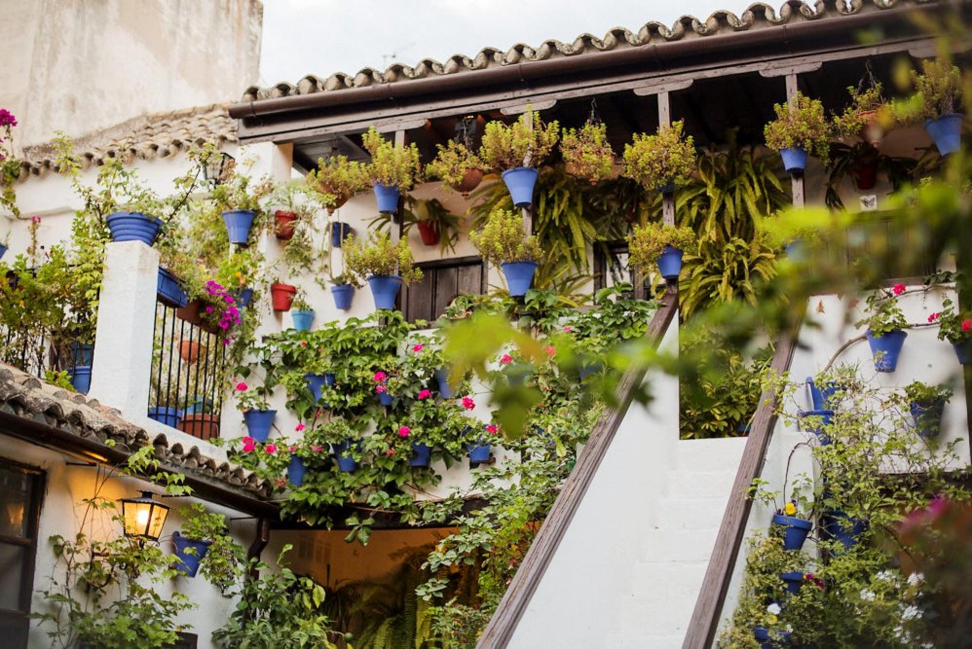 Seville to Cordoba Private Full-Day Tour - Thumbnail 8