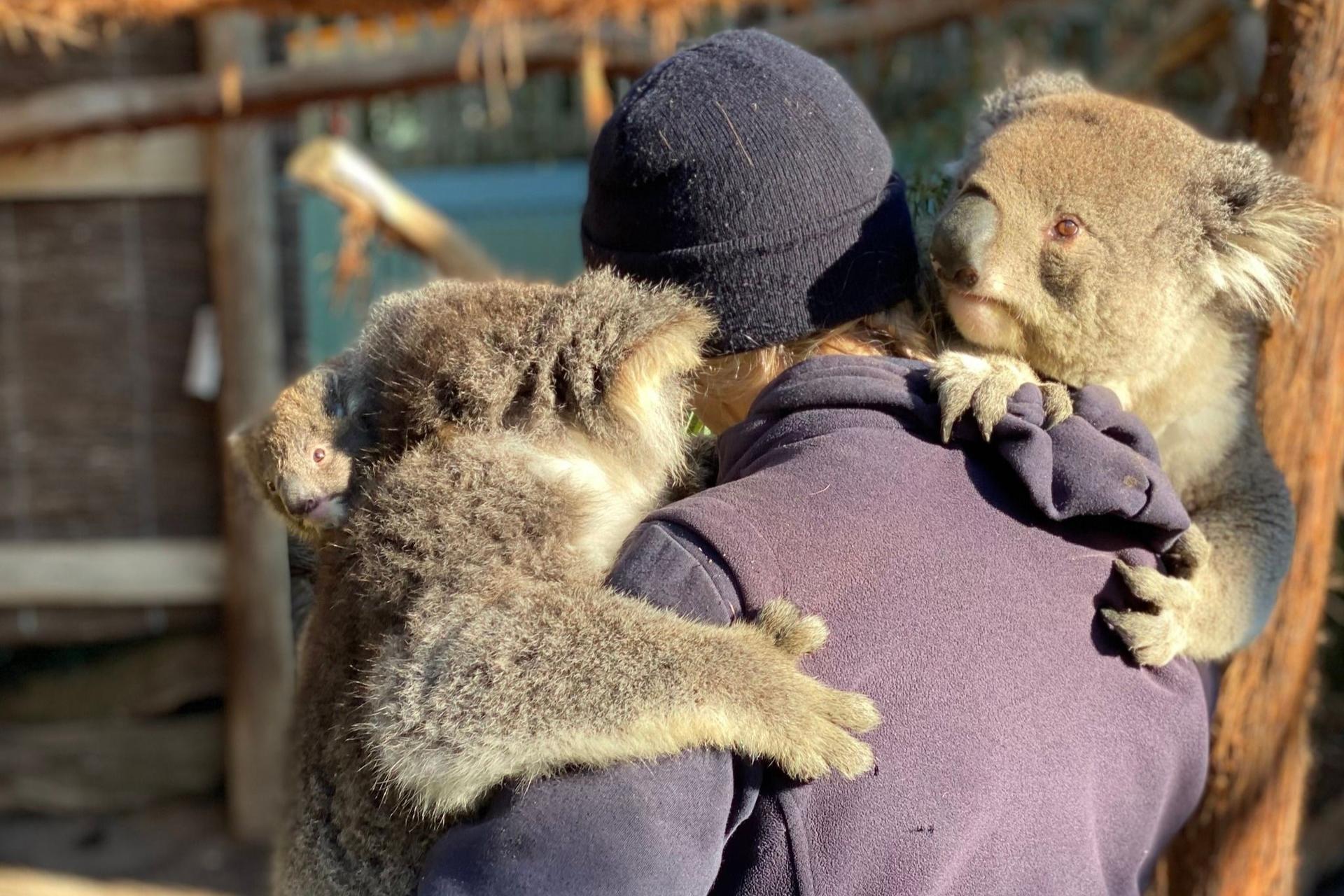 Ballarat Wildlife Park General Ticket - Thumbnail 4
