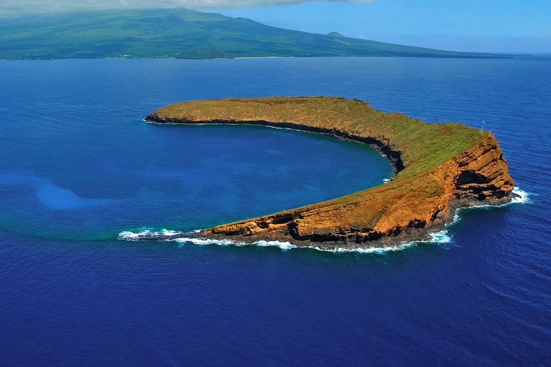 Molokini and Turtle Snorkeling in Maui - Image 1