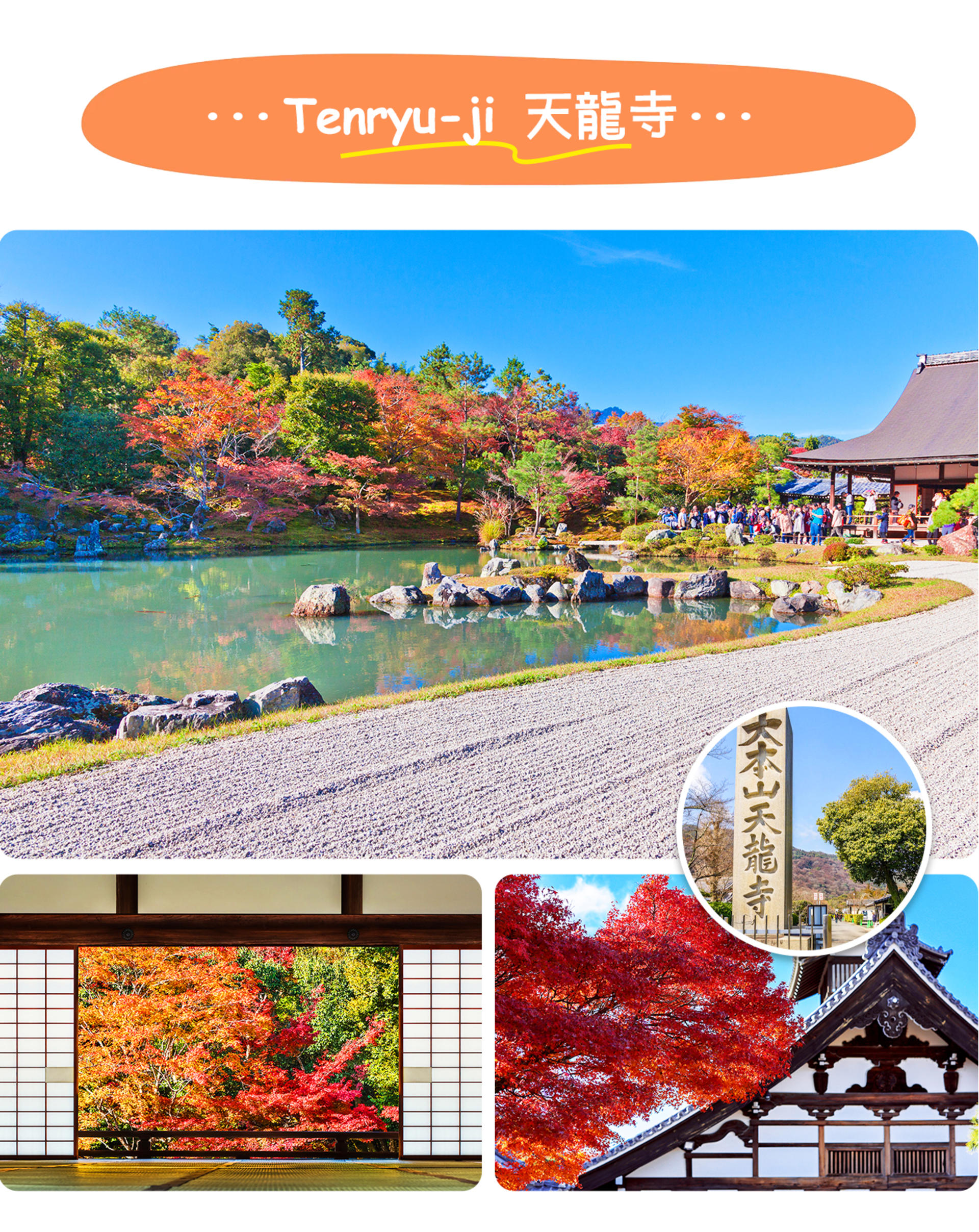 Kyoto Dream Illumination Autumn Foliage Day Tour - Kinkaku-ji & Arashiyama (Includes Night Maple Train - Departing from Osaka/Kyoto) - Thumbnail 18