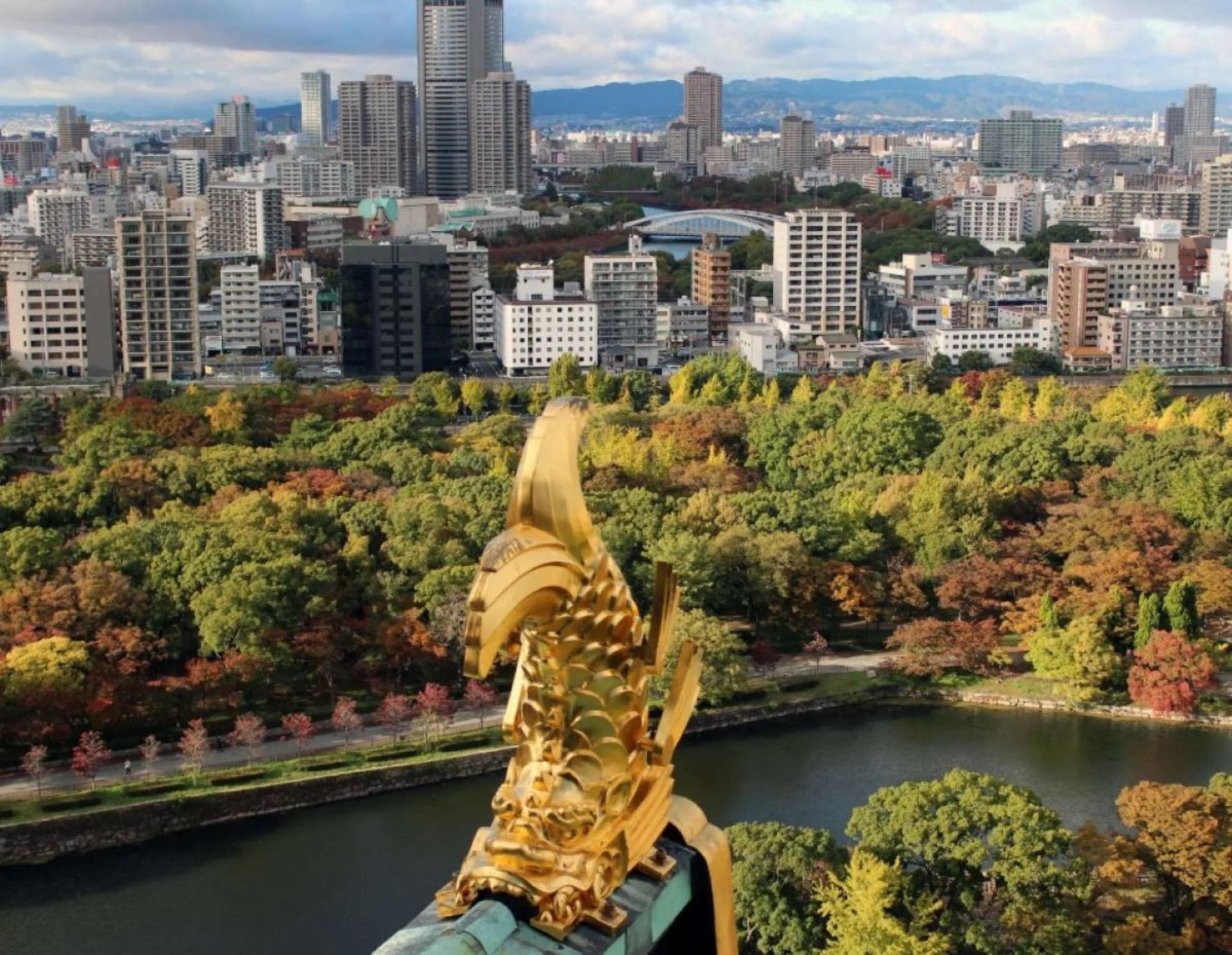 Osaka: Castle Tower Admission / Guided Walking Tour - Thumbnail 12