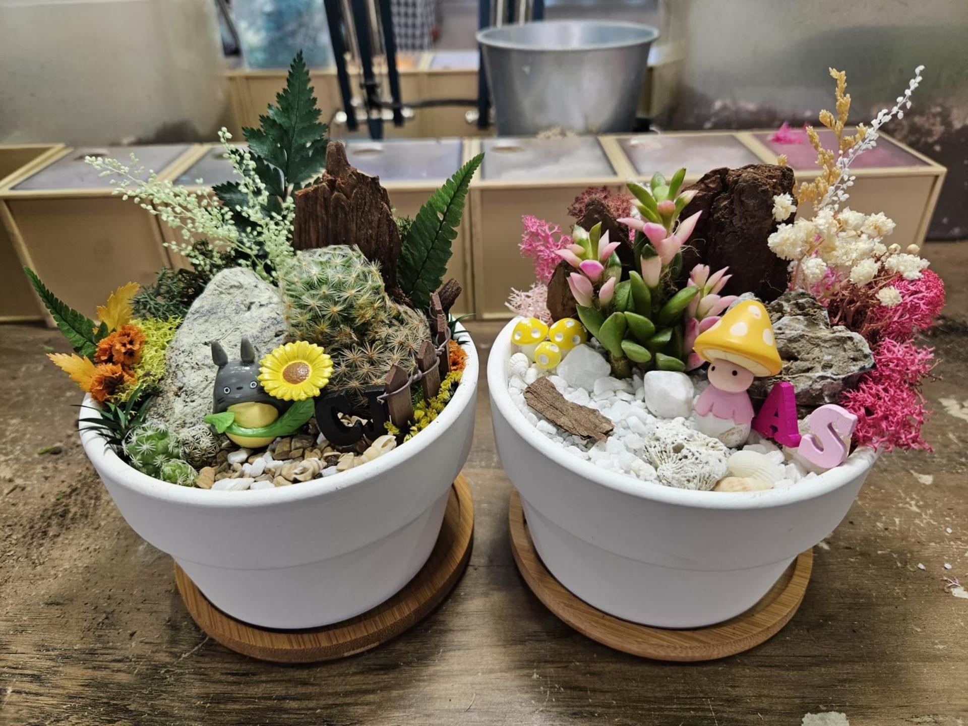 Open Terrarium and Moss Art Workshop in Singapore by SPPFY STUDIO - Thumbnail 7