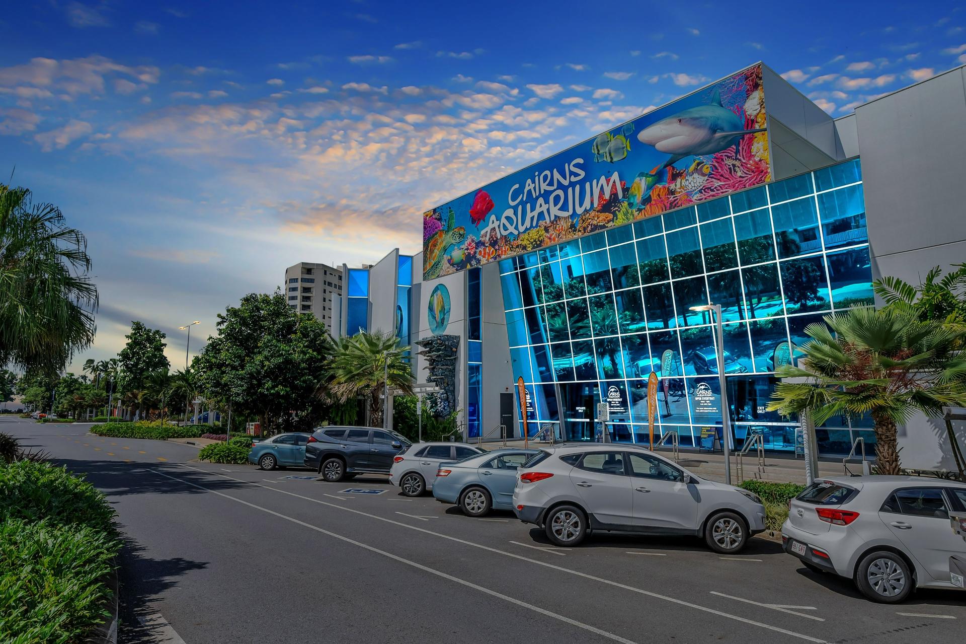 Cairns Aquarium Ticket - Thumbnail 19