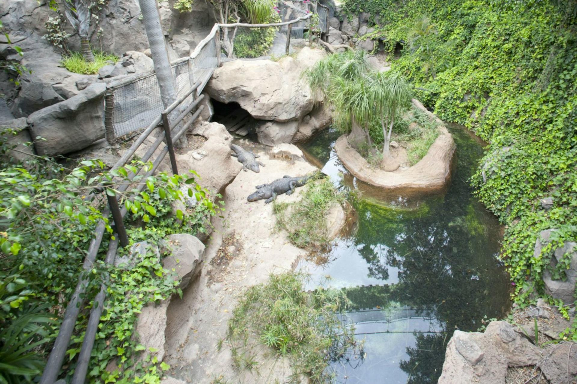 Jungle Park ticket in Tenerife - Thumbnail 5