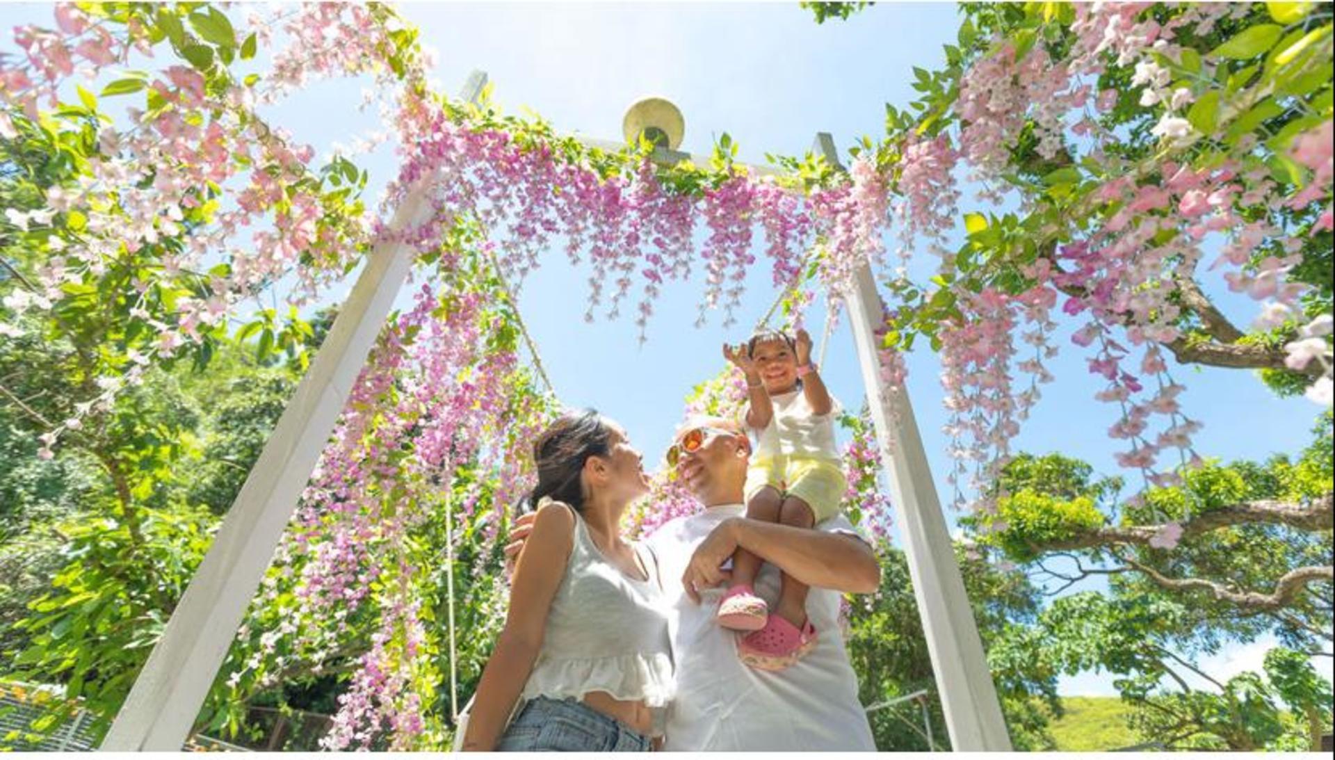 Family Activity - Bunny Wonderland Farm | Yuen Long - Thumbnail 20