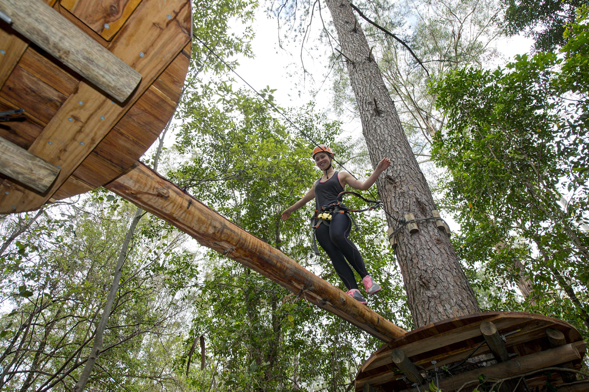 Tree Ropes Course in Pennant Hills - Thumbnail 3