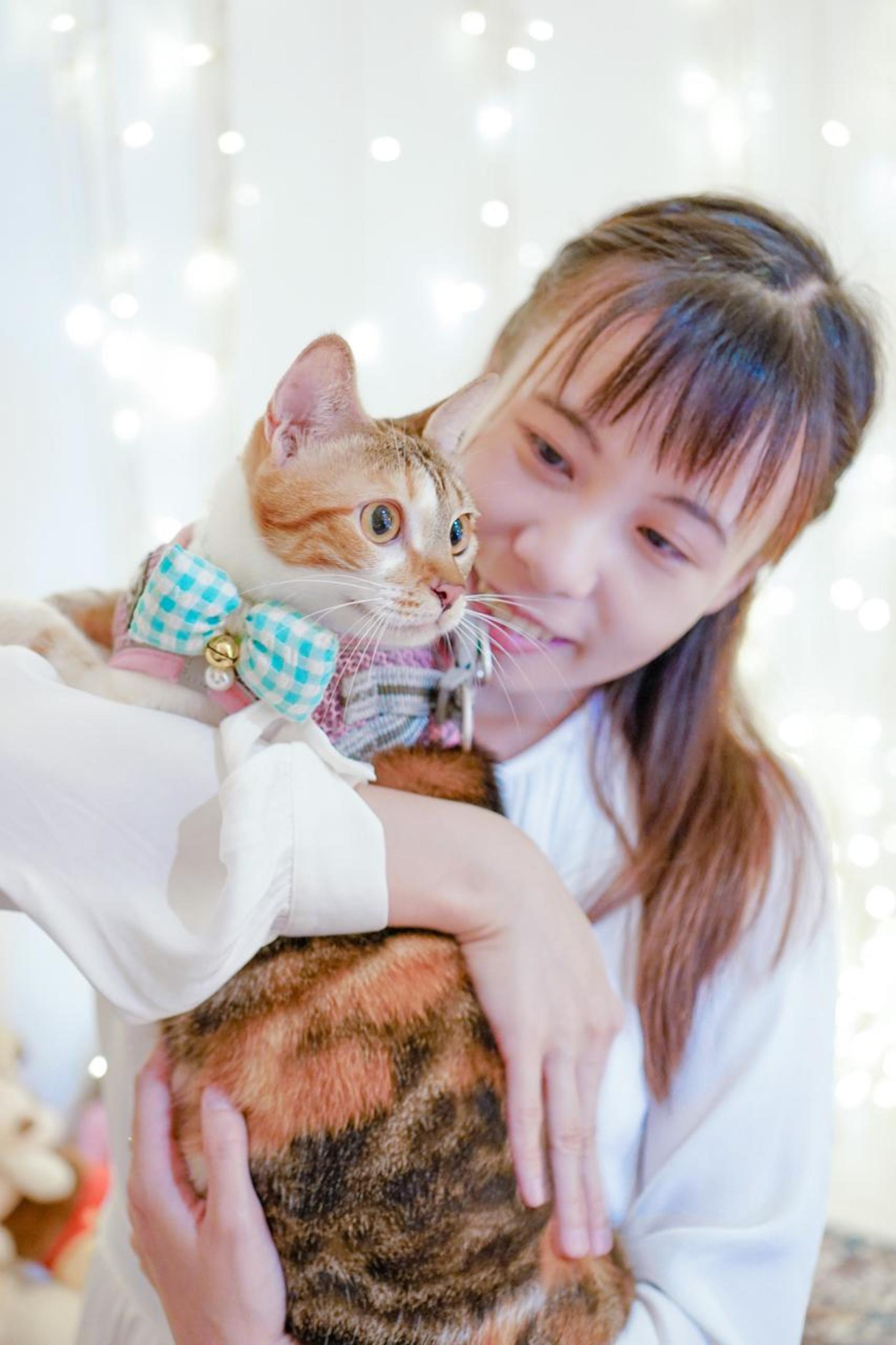 Hong Kong Kwun Tong Pet Photography (STUDIO) - Thumbnail 3