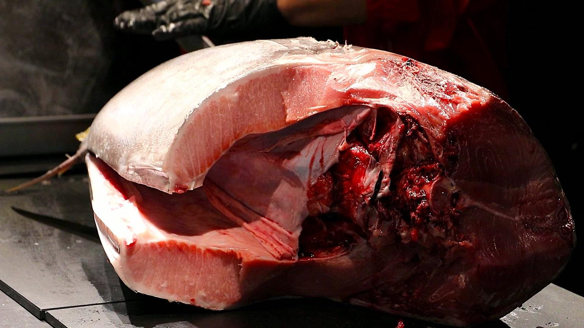Tokyo: Tuna Cutting Show with Unlimited Sushi & Drinks - Thumbnail 29