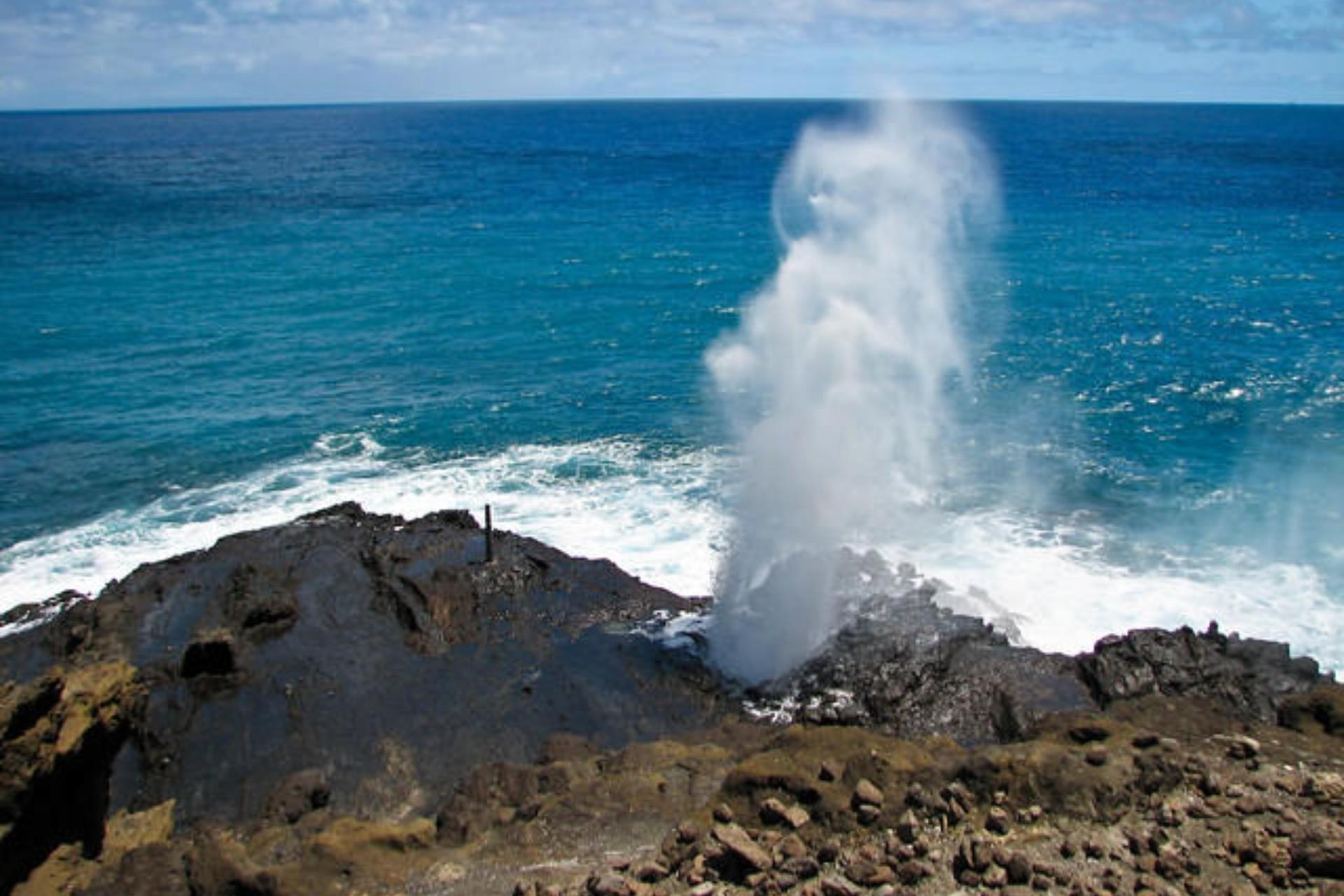 Circle Island Tour Oahu - Thumbnail 5