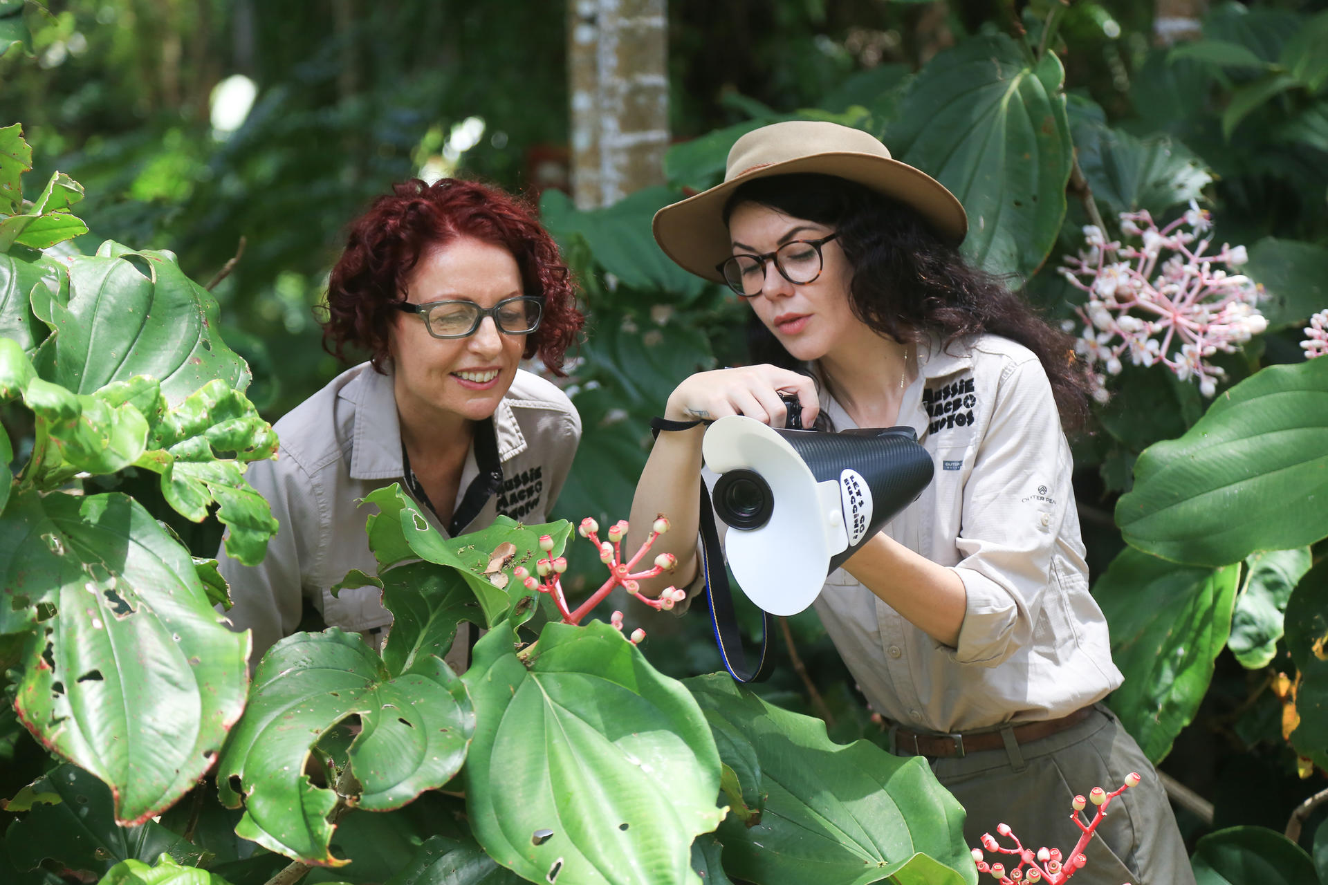 Cairns Botanic Gardens Morning Walk Photography Tour - Image 1