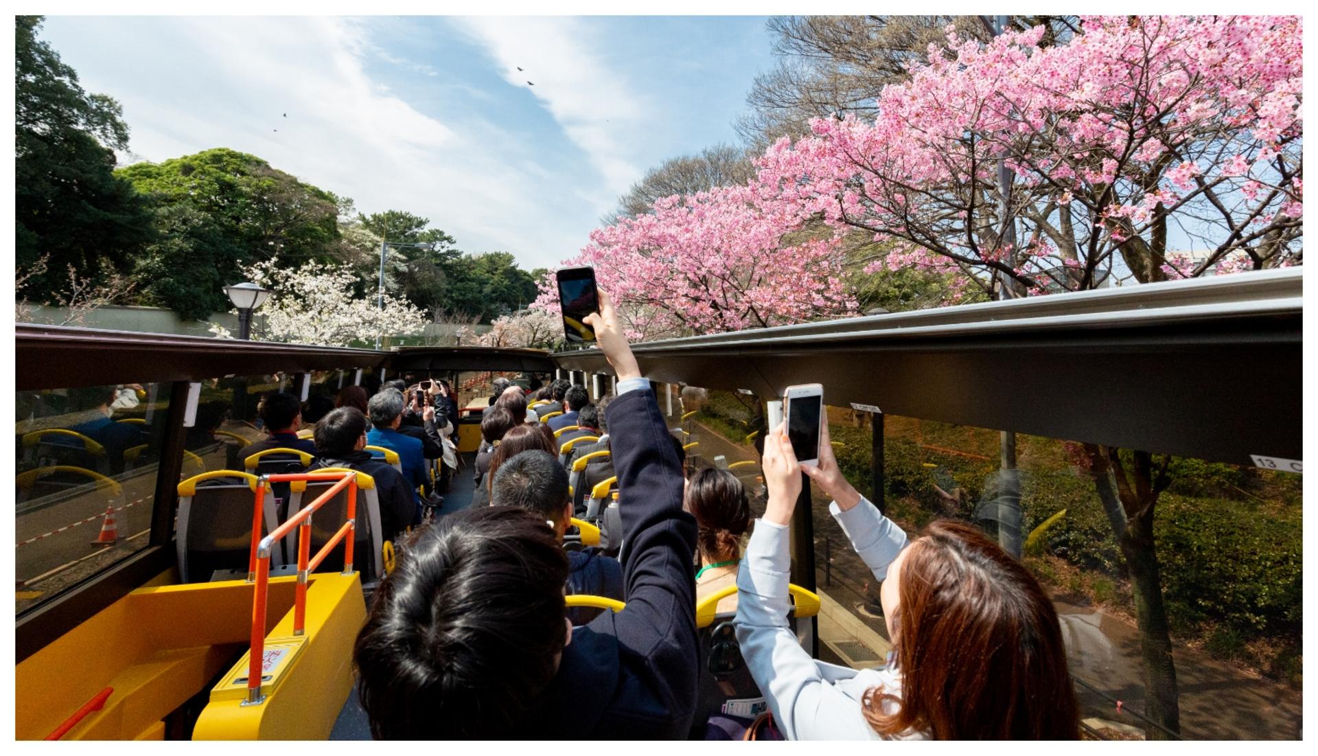 Have Fun in Tokyo Pass - Thumbnail 3