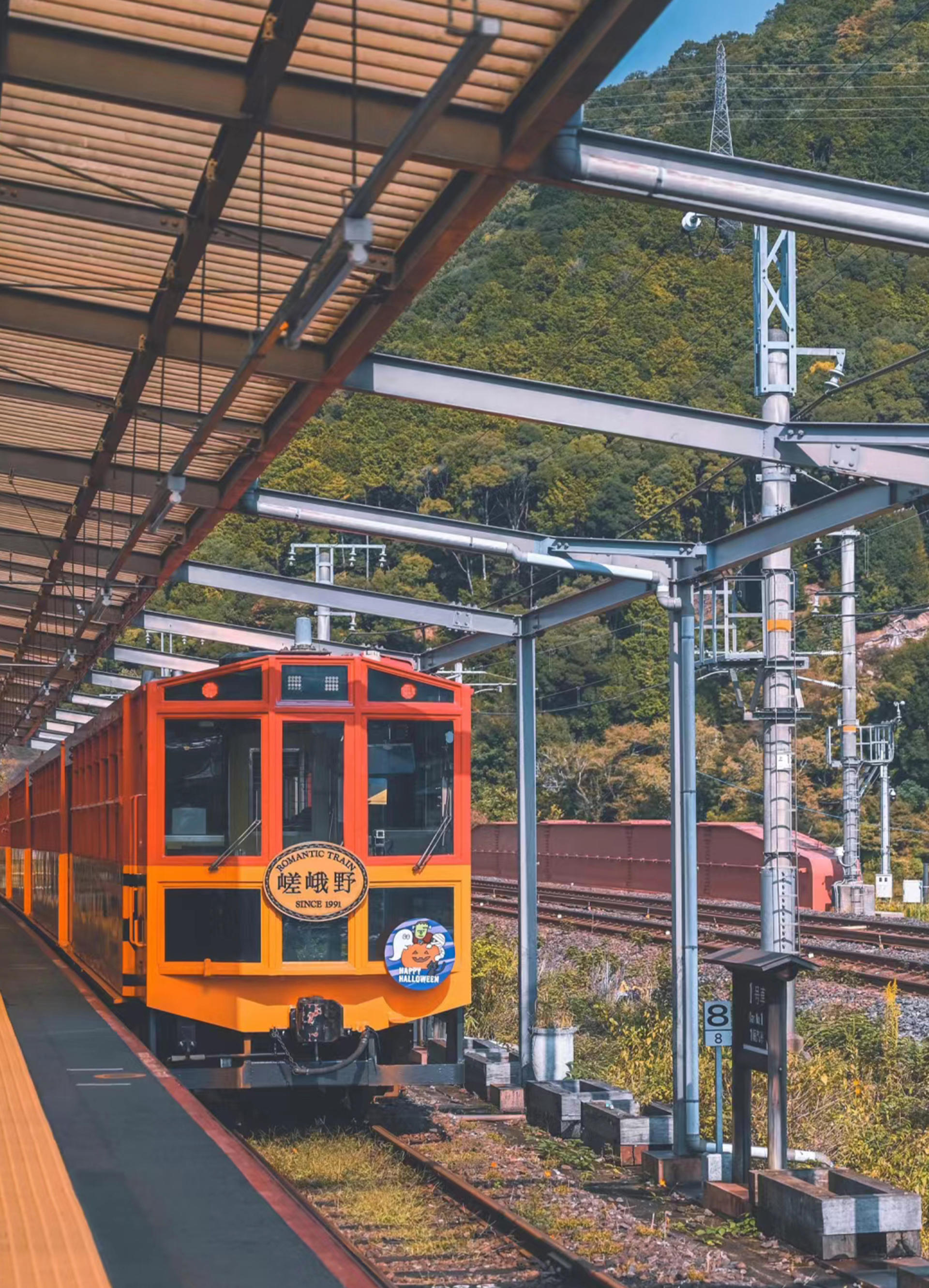 9-person Small Group Tour | Nara Park・Fushimi Inari-taisha・Arashiyama Moonlit Road One-Day Tour | Osaka Departure with Optional Hotel Pick-up and Drop-off - Thumbnail 12