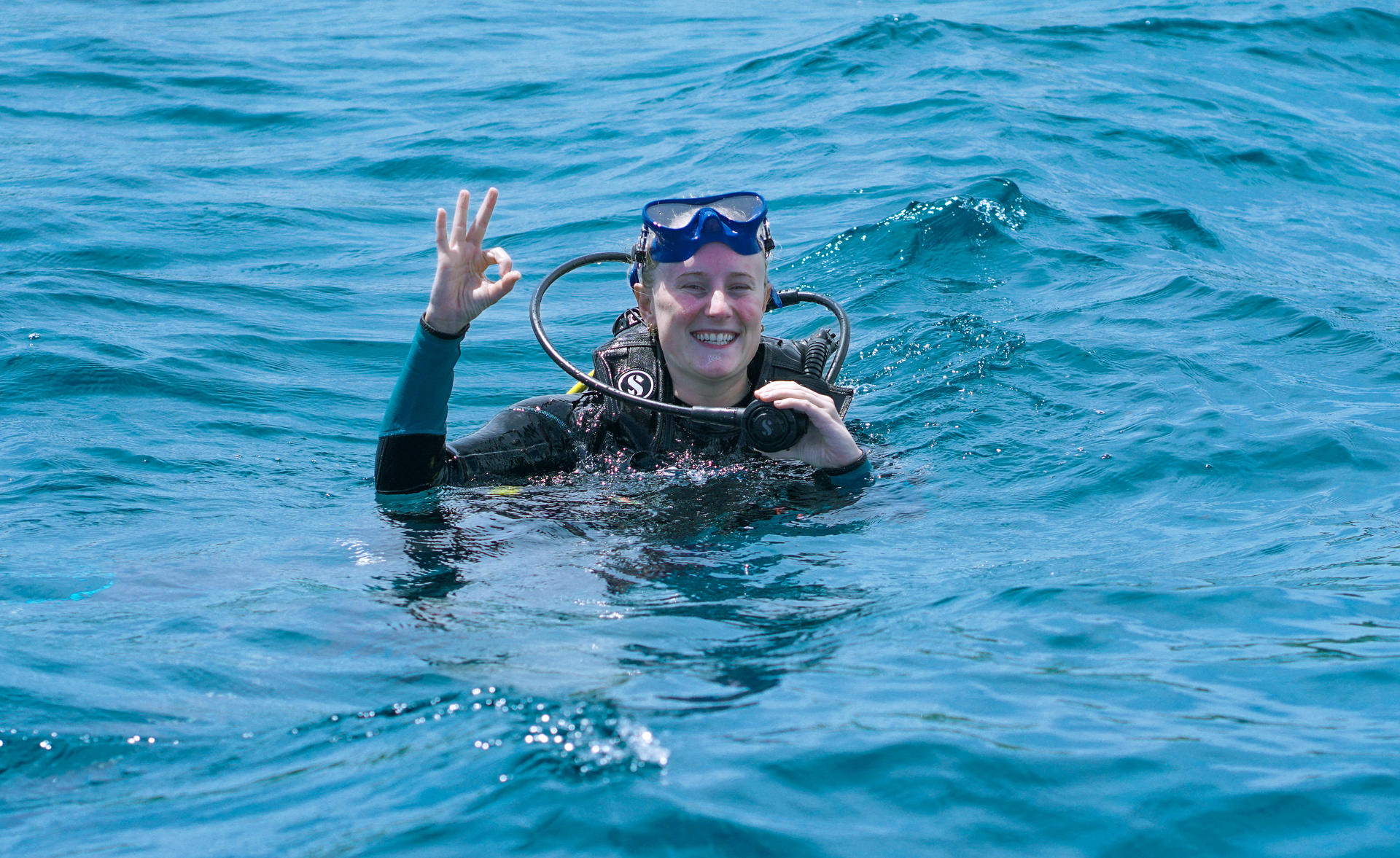 Full-Day Dive Trip in Manggarai with PADI Dive Center - Image 1