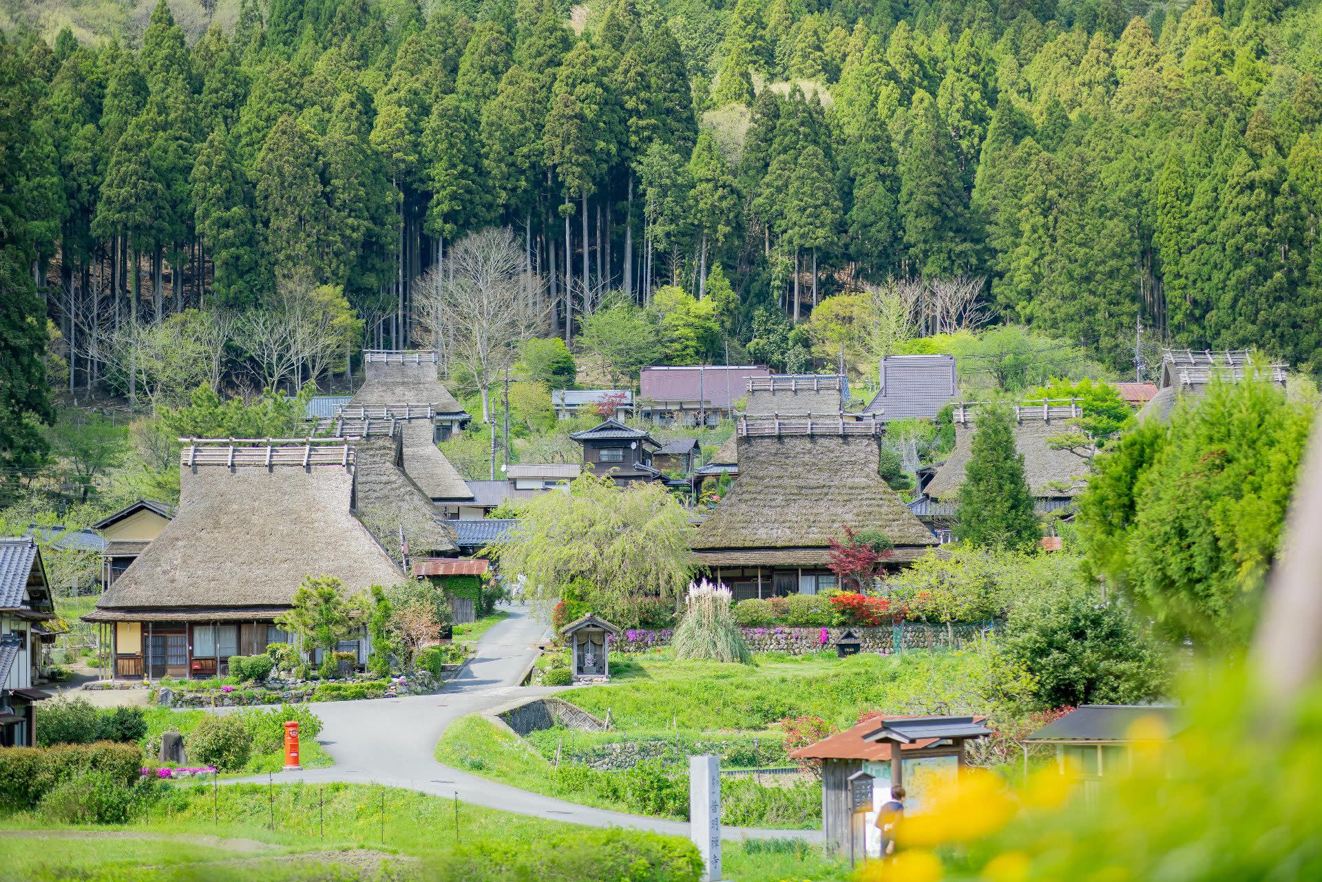 Day Trip to Amanohashidate & Ine no Funaya & Miyama Thatched Village in the Sea of Kyoto (Departure from Osaka or Kyoto) - Thumbnail 38