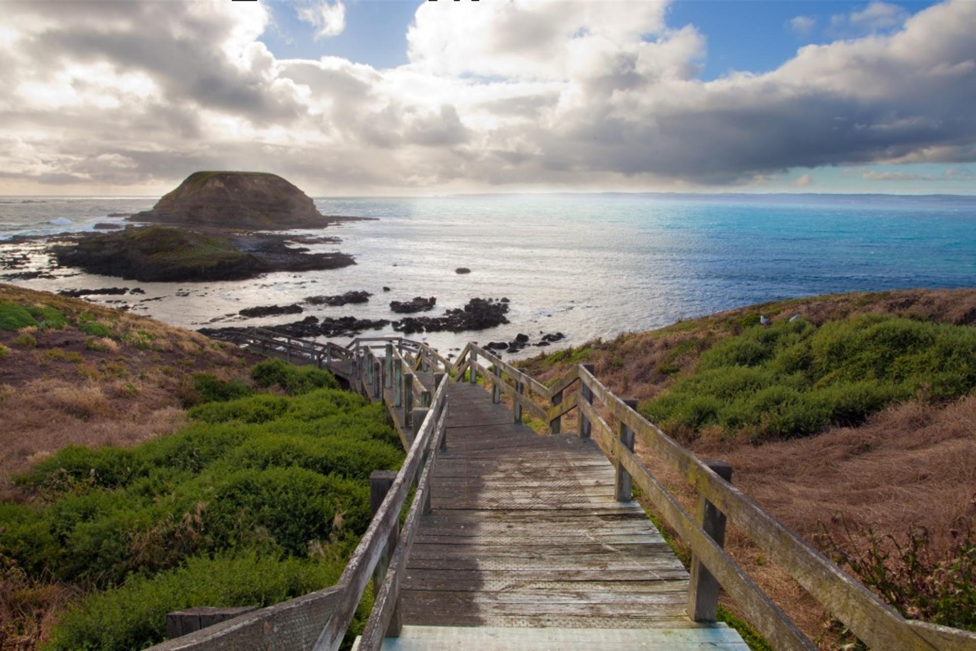Phillip Island and Brighton Beach Boxes Private Tour from Melbourne - Thumbnail 10