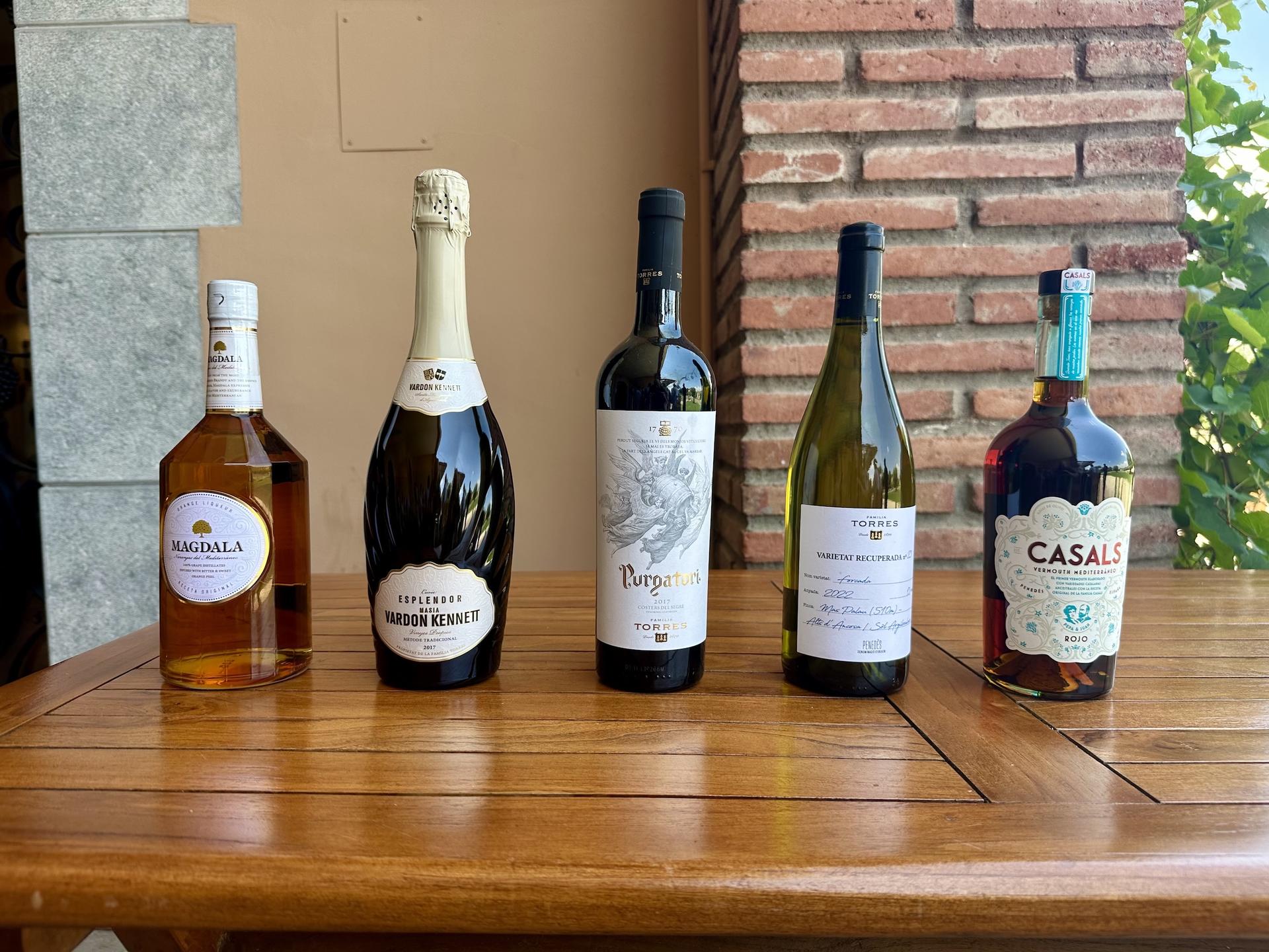 Barcelona Torres Winery Half-Day Small Group Tour - Thumbnail 6
