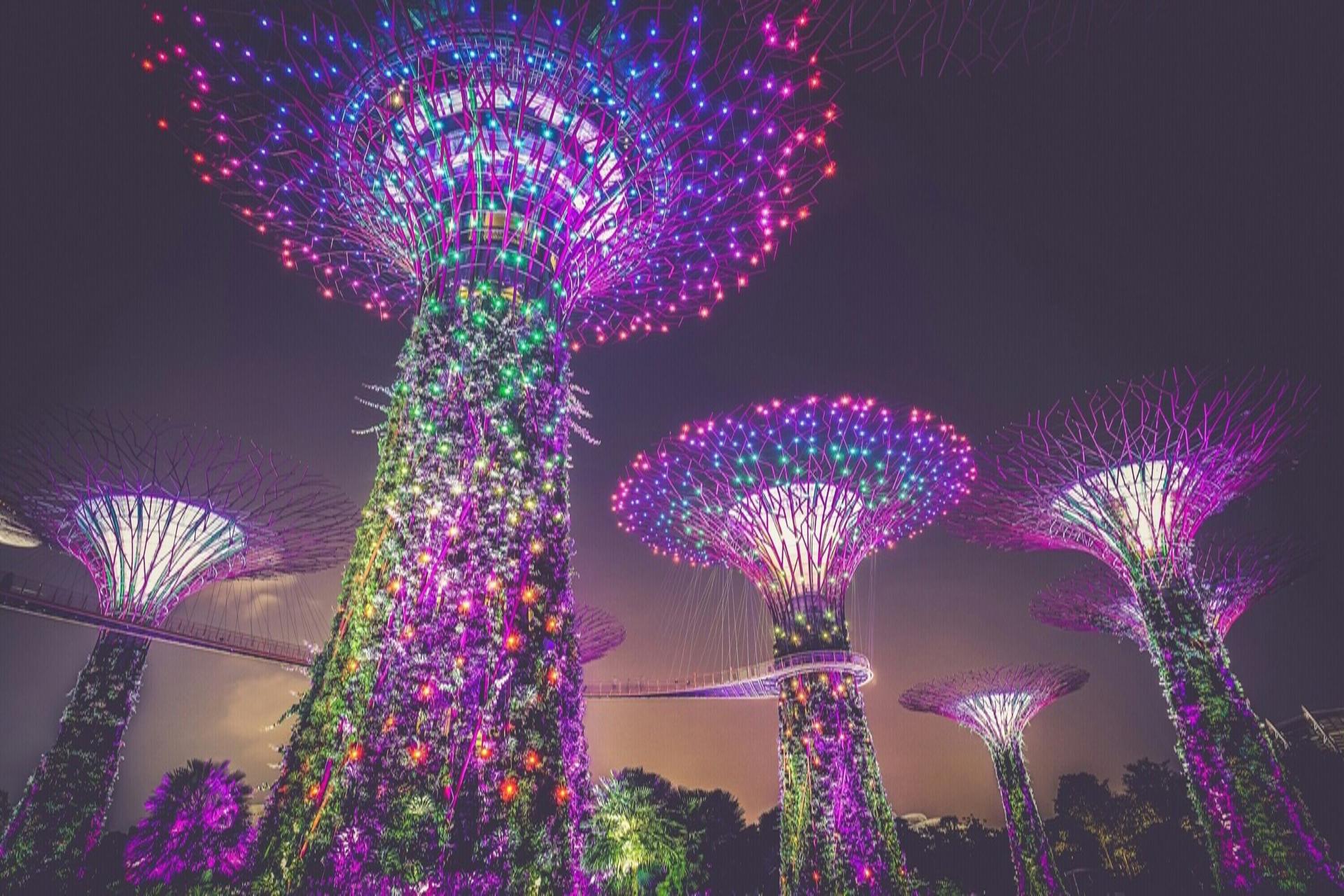 Singapore Crazy Rich Asians and IG Spots Walking Tour - Image 1