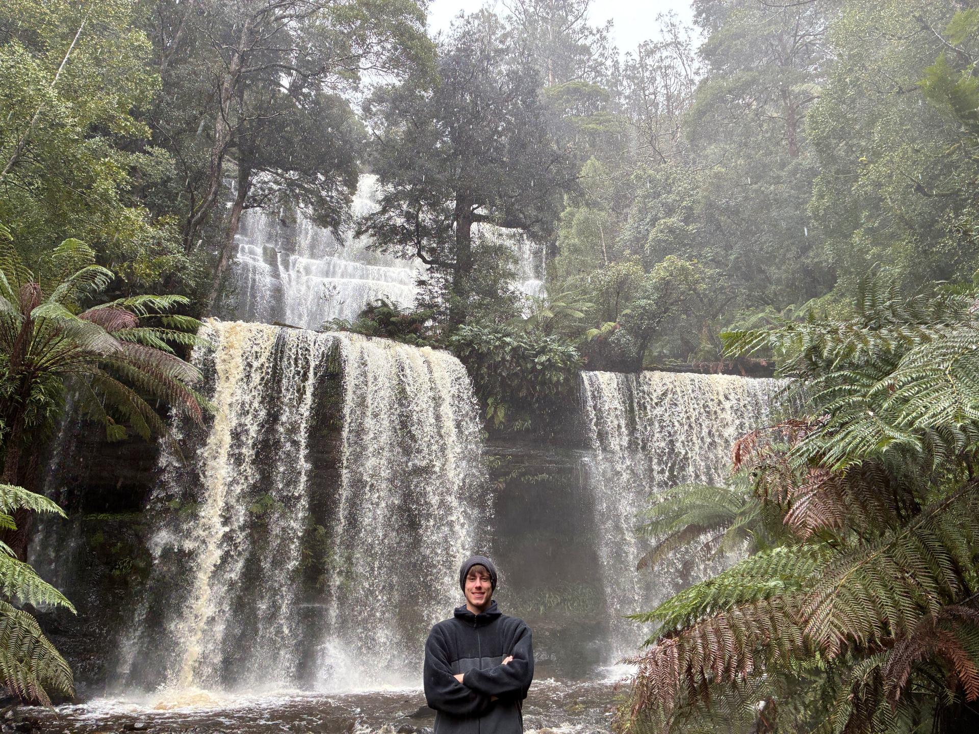 Mt Field National Park, Bonorong Wildlife & Mt. Wellington summit - Image 1