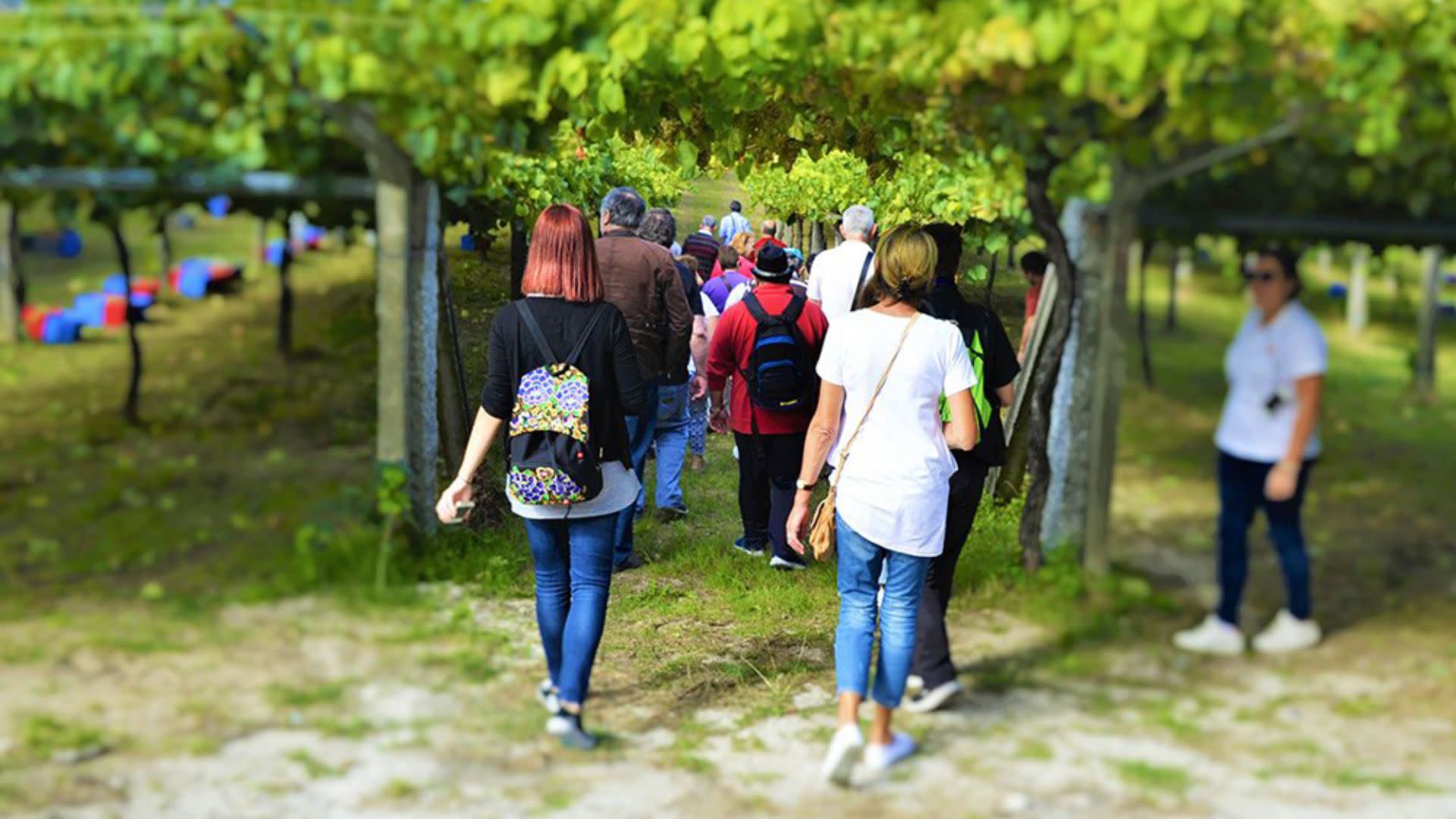 Rias Baixas winery tour with optional boat trip from Santiago - Thumbnail 5