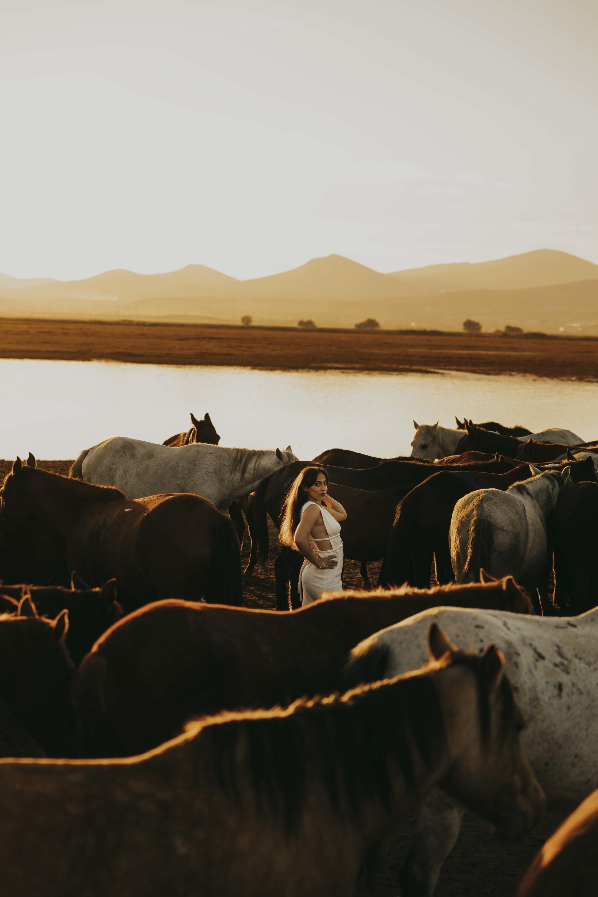 Private Photoshoot With Wild Horses in Cappadocia - Image 1