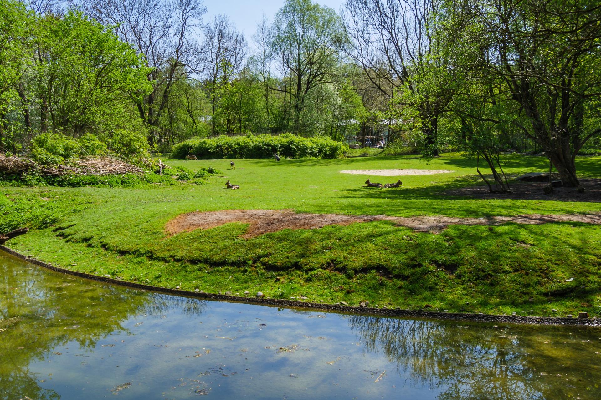 Central Park Self-Guided Audio Tour in New York - Image 1